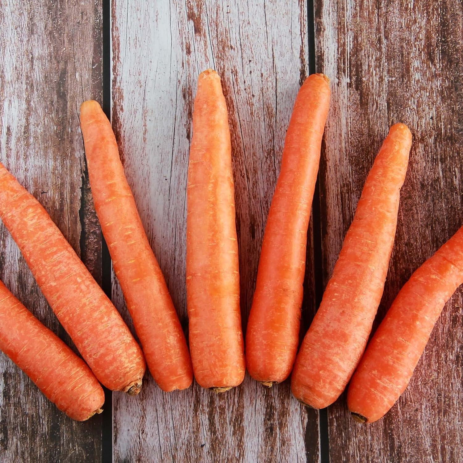 Fertilizante Orgánico Big A para Zanahorias y Verduras 340g