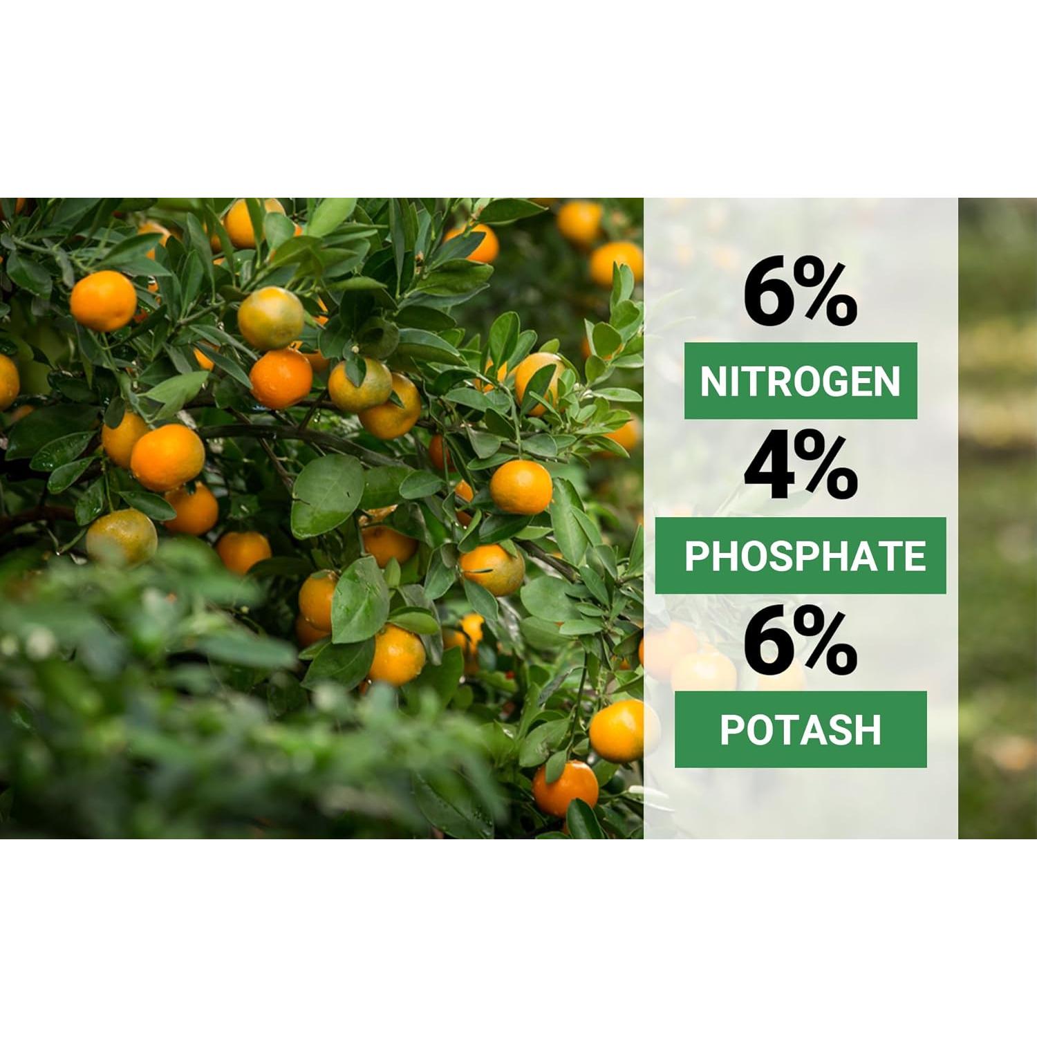 Fertilizante Orgánico para Cítricos GardenWise 16oz - NPK Balanceado