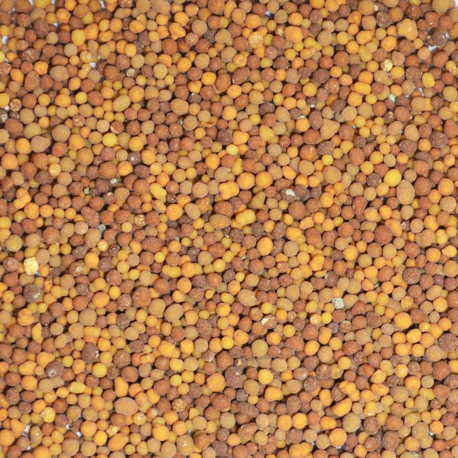 Alimento para Orquídeas y Plantas de Interior Mejor-Gro 283.5g