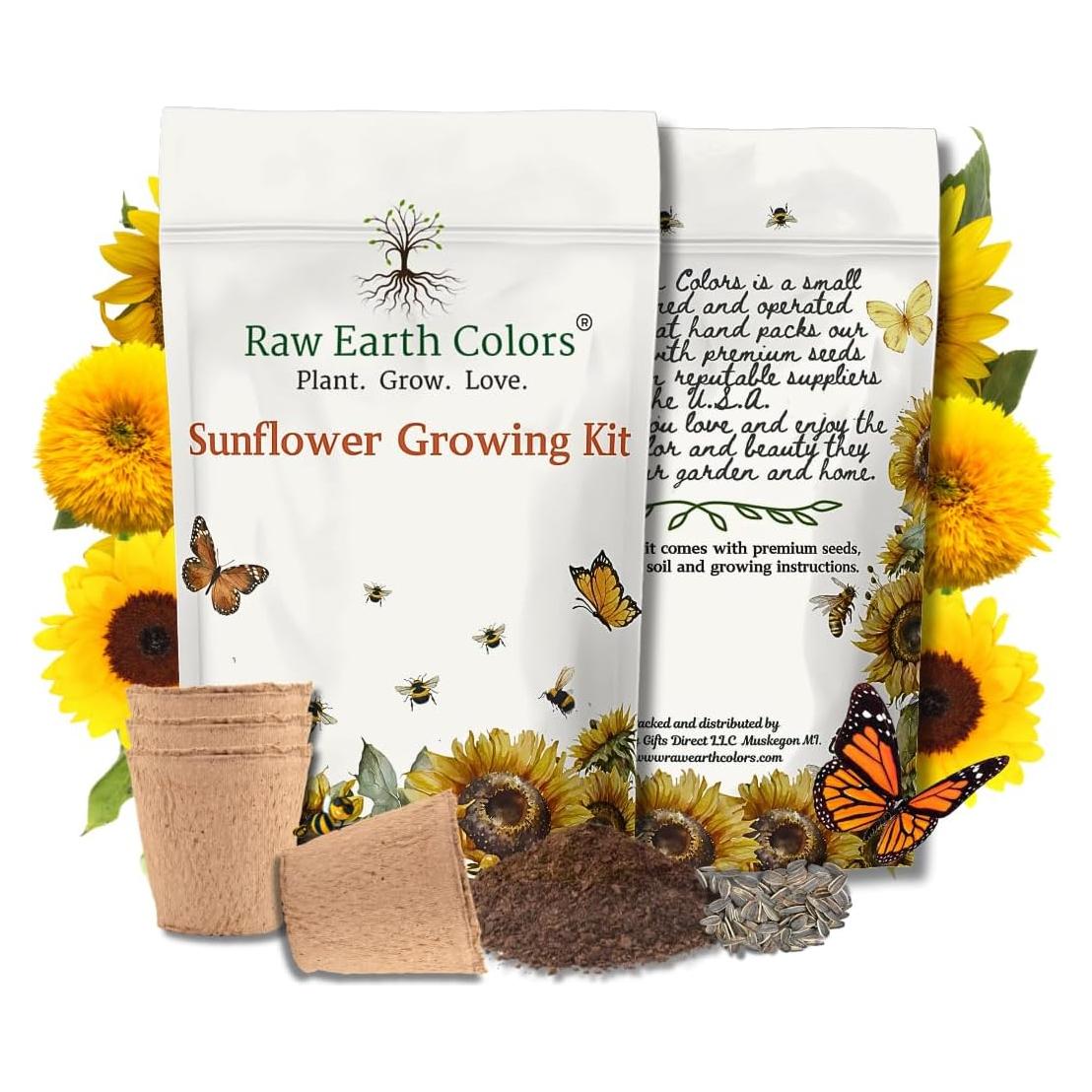 Kit de Crecimiento de Girasoles Enanos RAW EARTH - Semillas Teddy Bear y Sunspot
