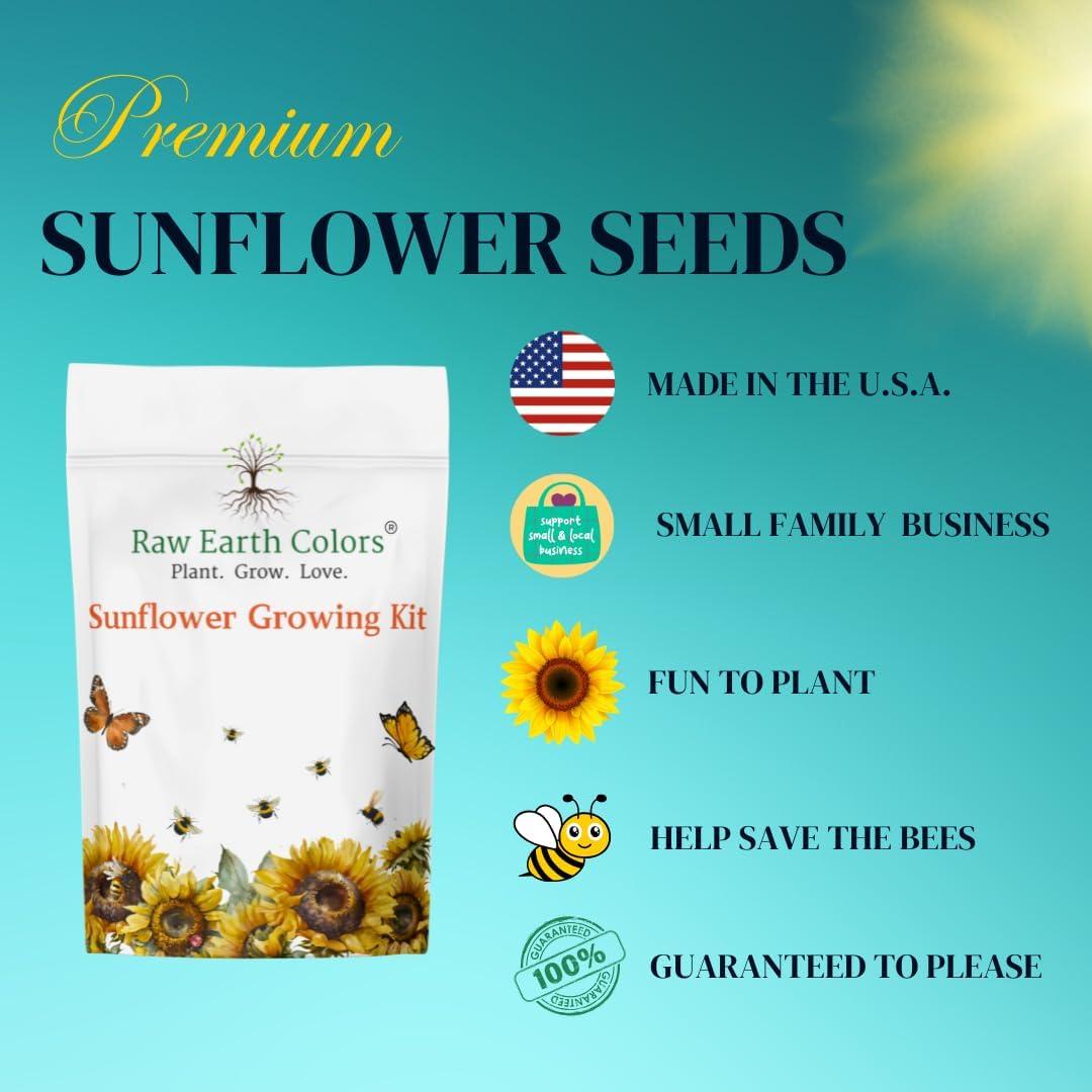 Kit de Crecimiento de Girasoles Enanos RAW EARTH - Semillas Teddy Bear y Sunspot