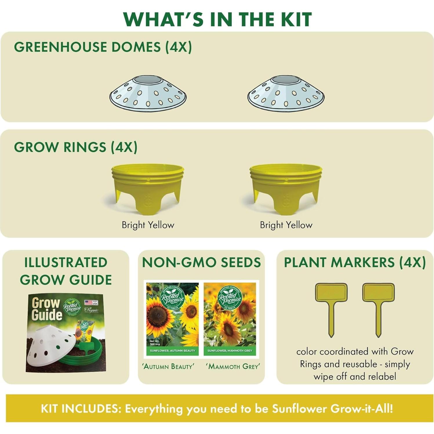 Kit de Jardín de Girasoles Rooted Promise - Cultiva 2.13 a 3.66 m