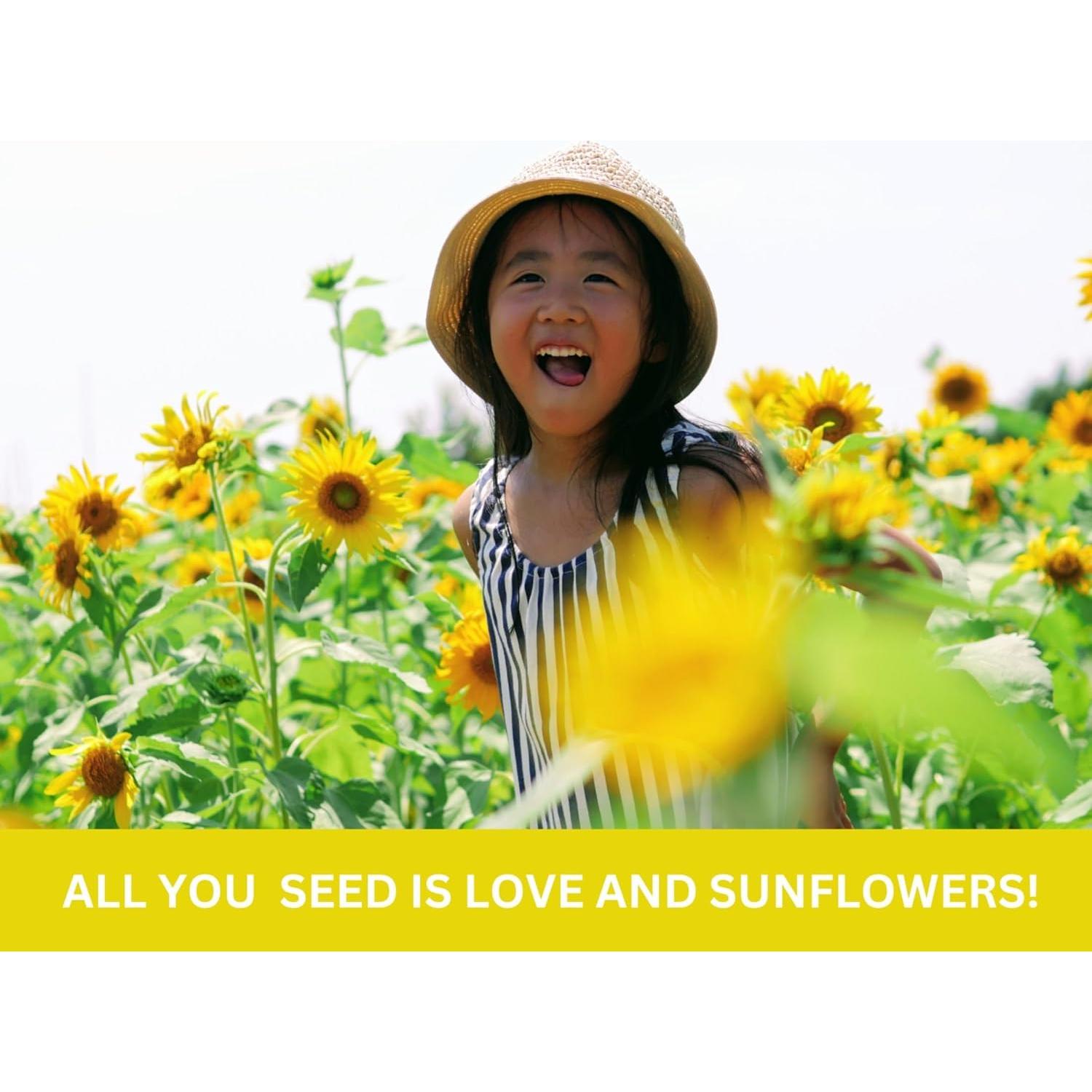 Kit de Jardín de Girasoles Rooted Promise - Cultiva 2.13 a 3.66 m