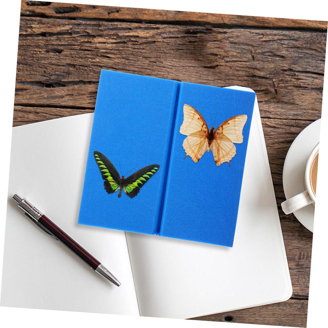 Kit de Tablero de Exhibición de Insectos Veemoon 2 Piezas EVA