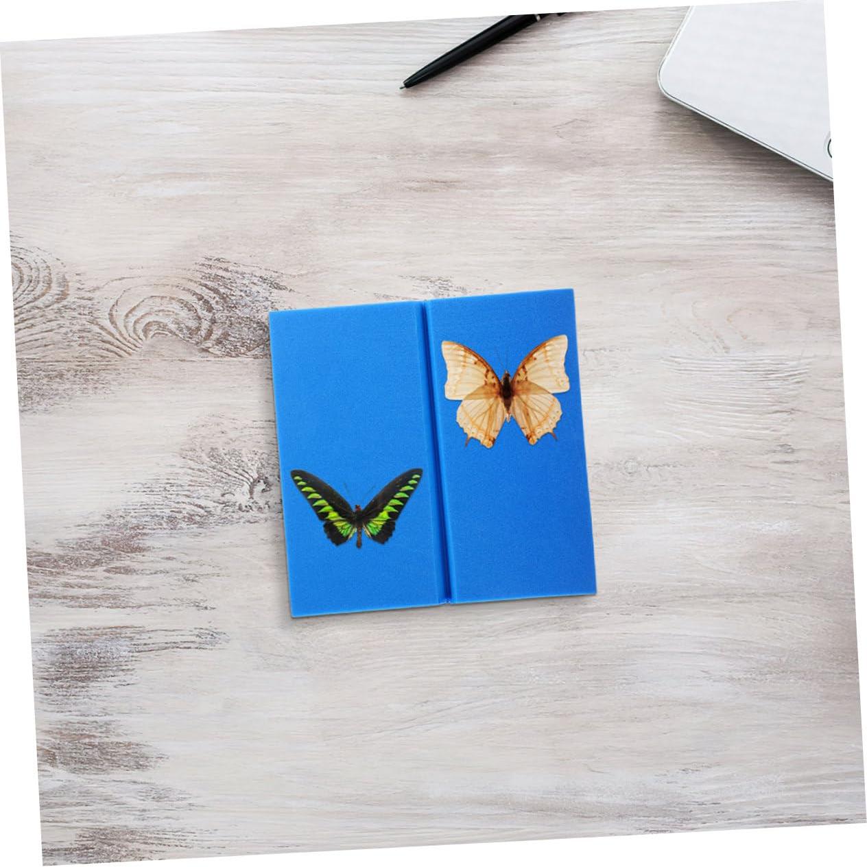 Kit de Tablero de Exhibición de Insectos Veemoon 2 Piezas EVA