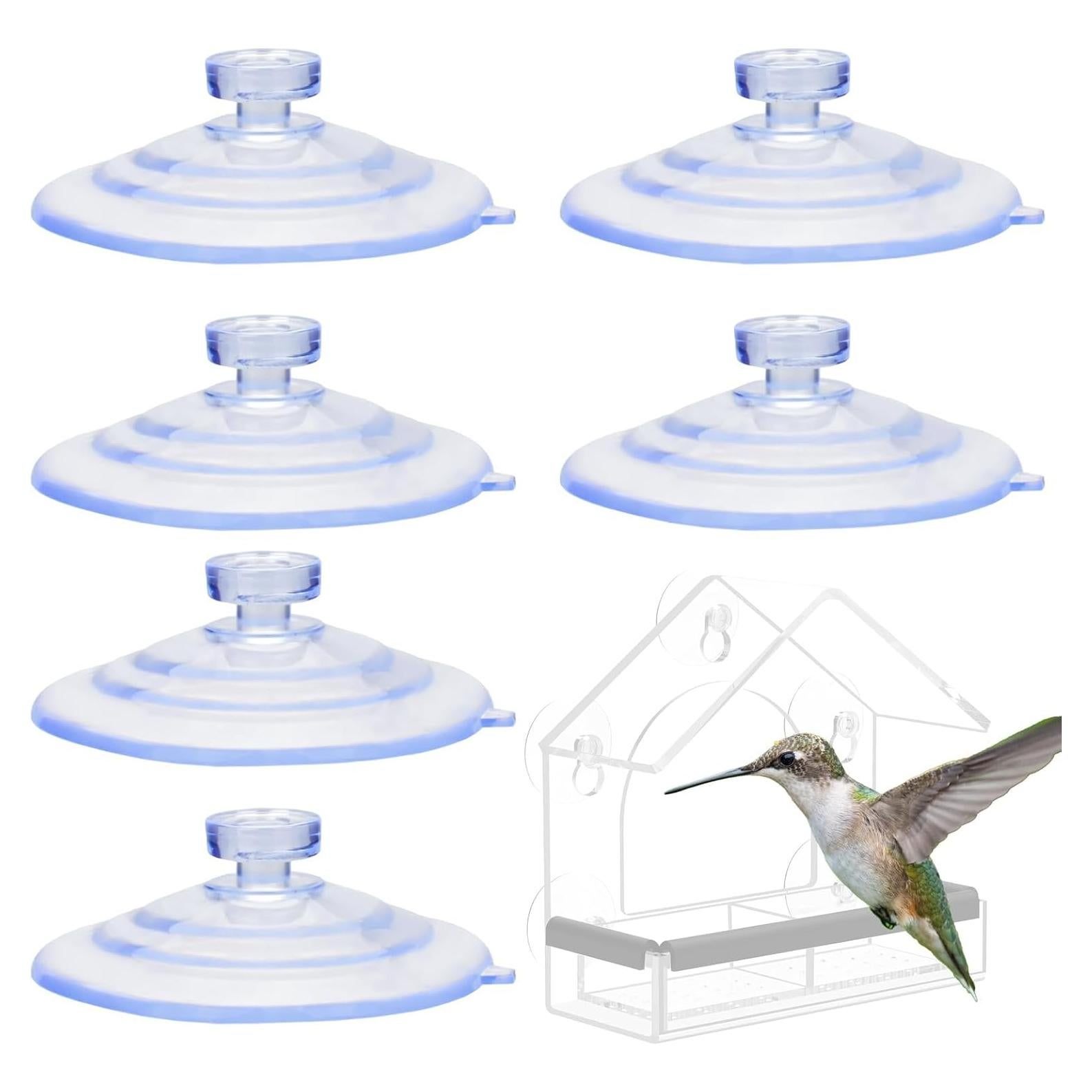 Ventosas para Alimentador de Pájaros XJKJSX - 6 Unidades