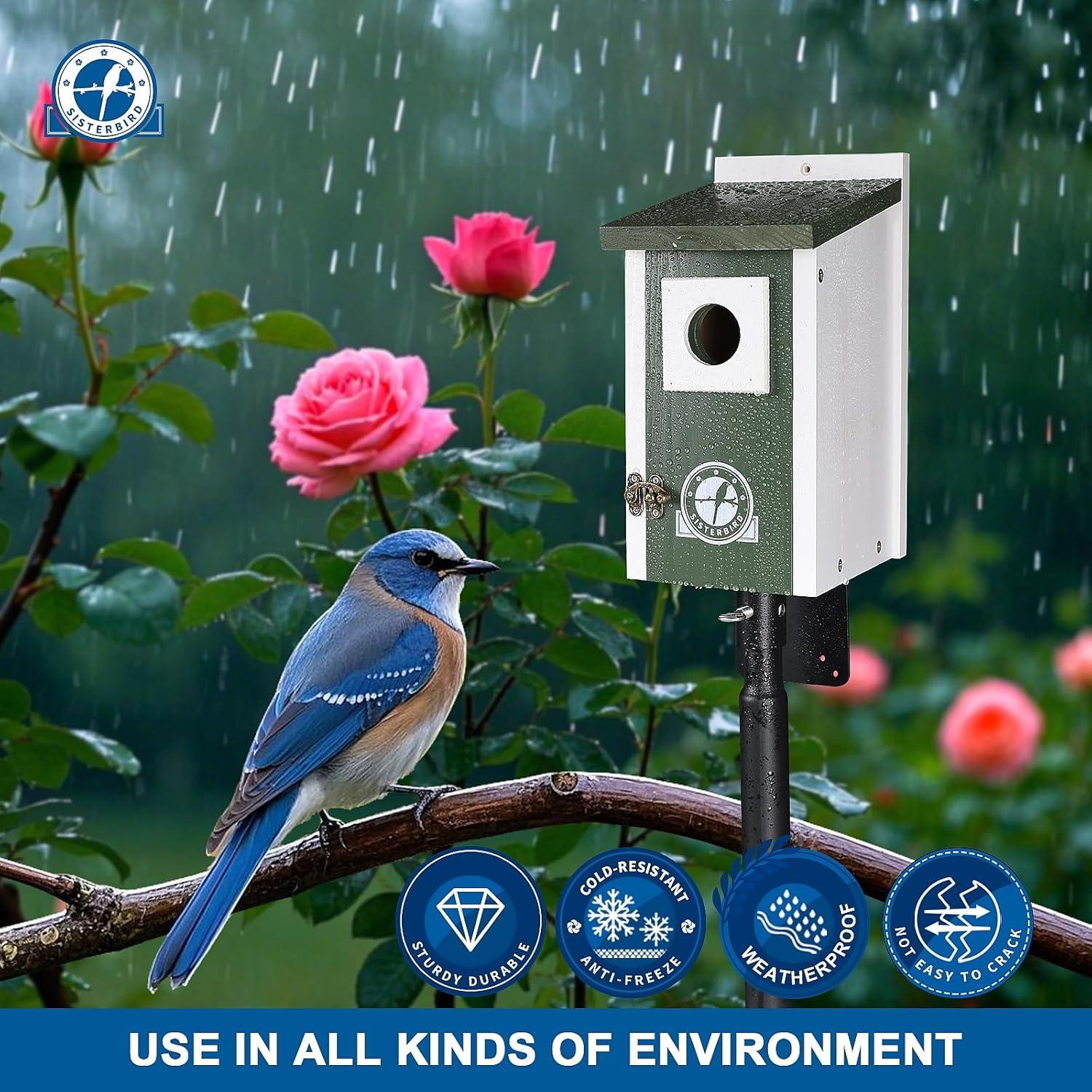 Casa para Aves SISTERBIRD Verde Oscuro 27cm Madera Exterior