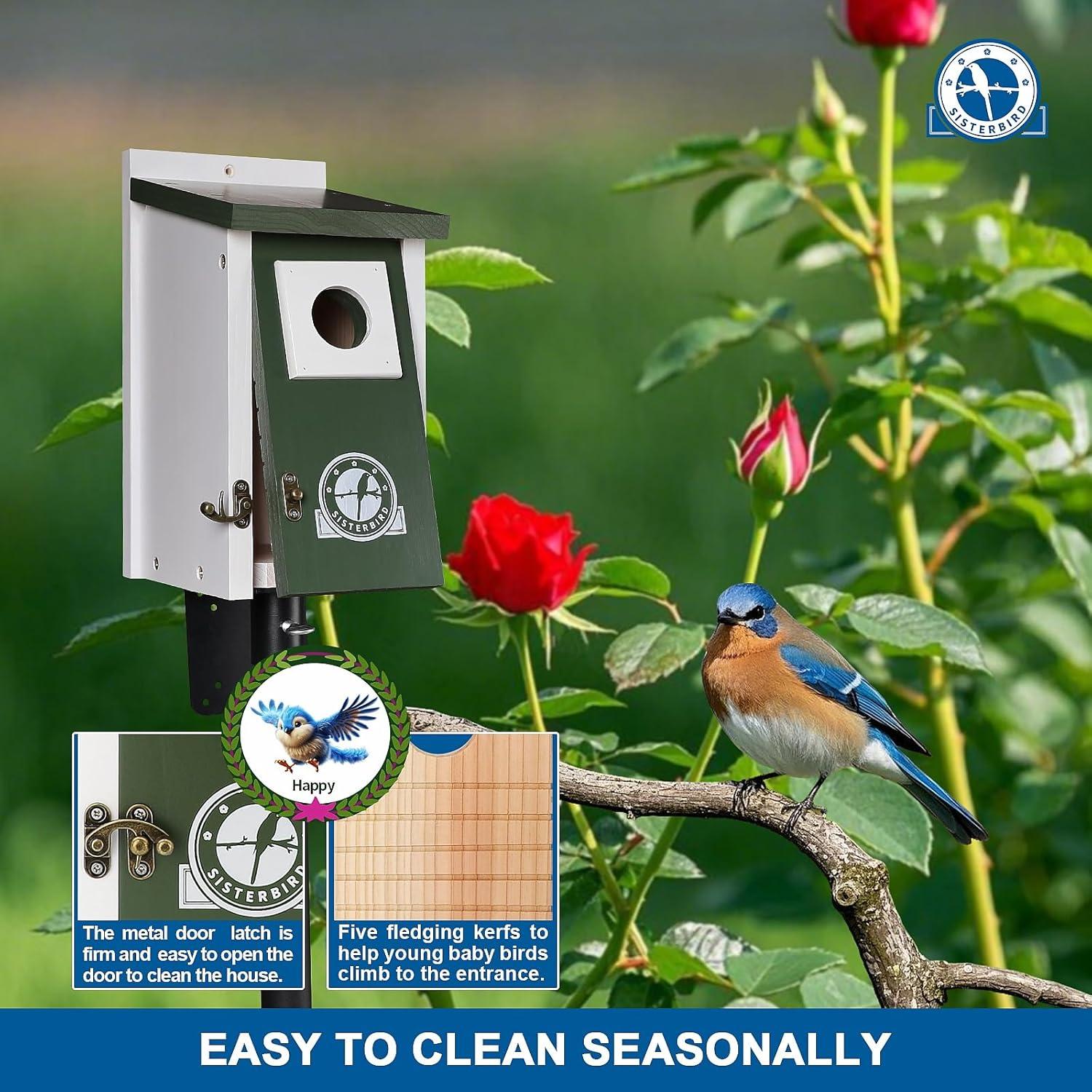 Casa para Aves SISTERBIRD Verde Oscuro 27cm Madera Exterior