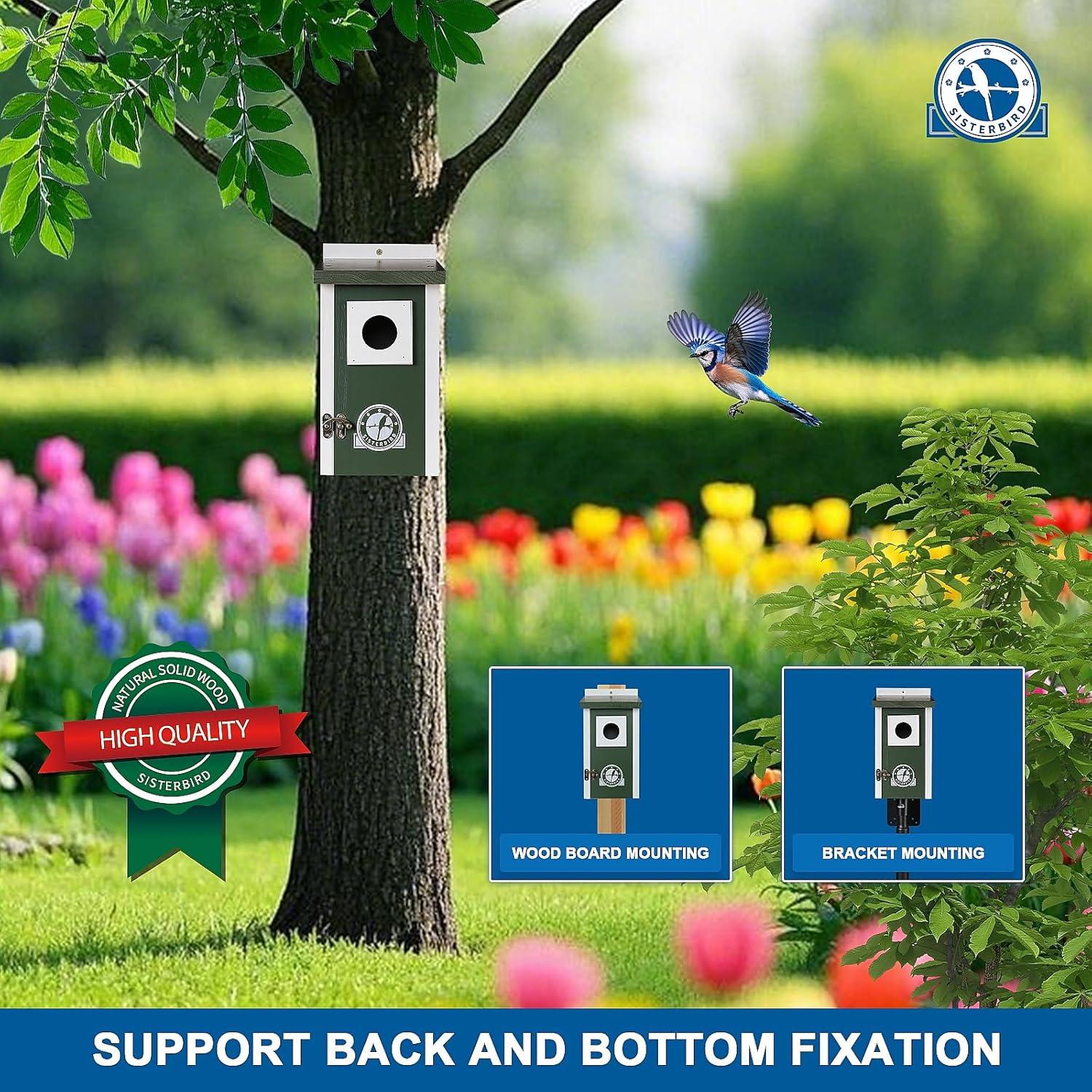 Casa para Aves SISTERBIRD Verde Oscuro 27cm Madera Exterior