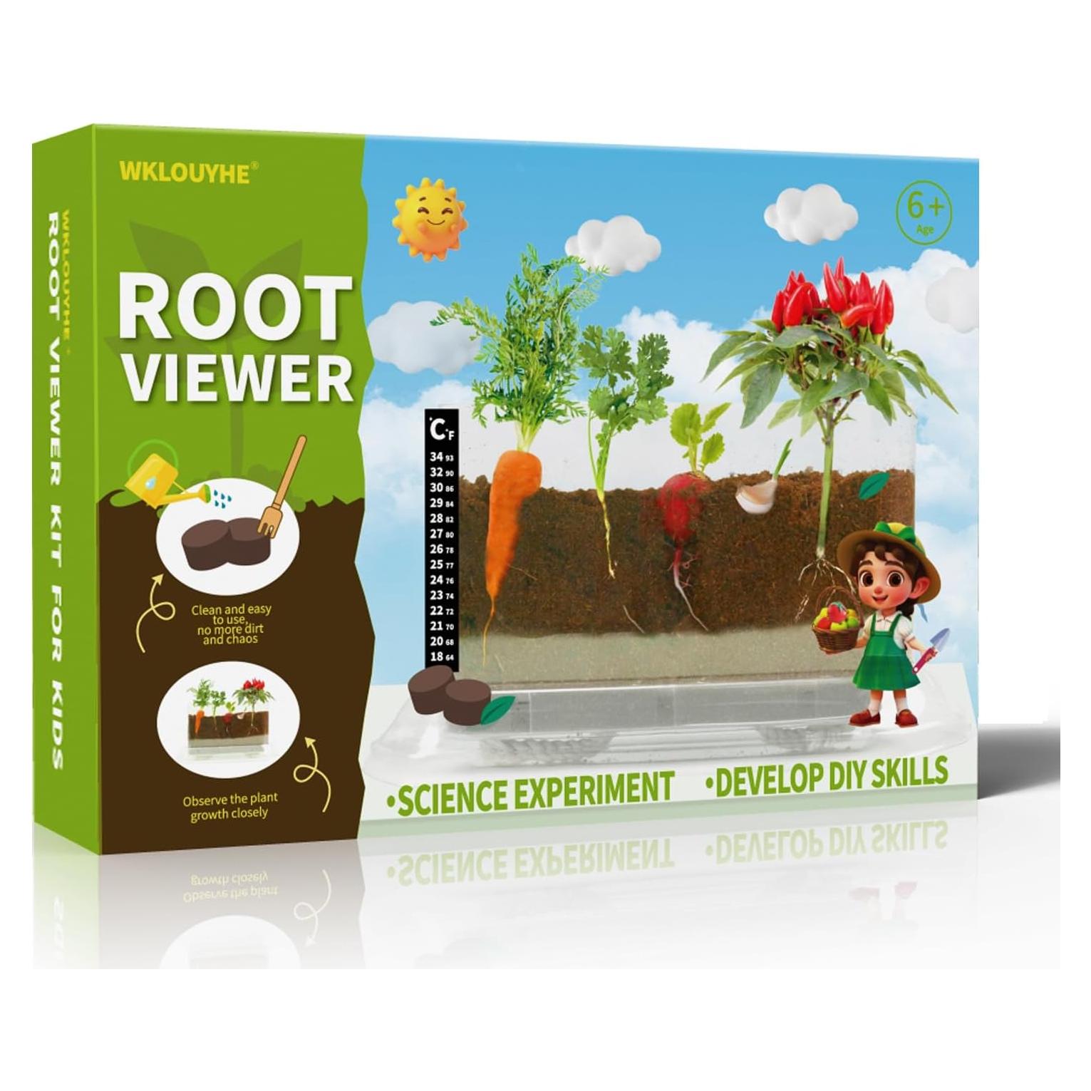 Kit de Visualización de Raíces Fuzhou - Juguete STEM para Niños