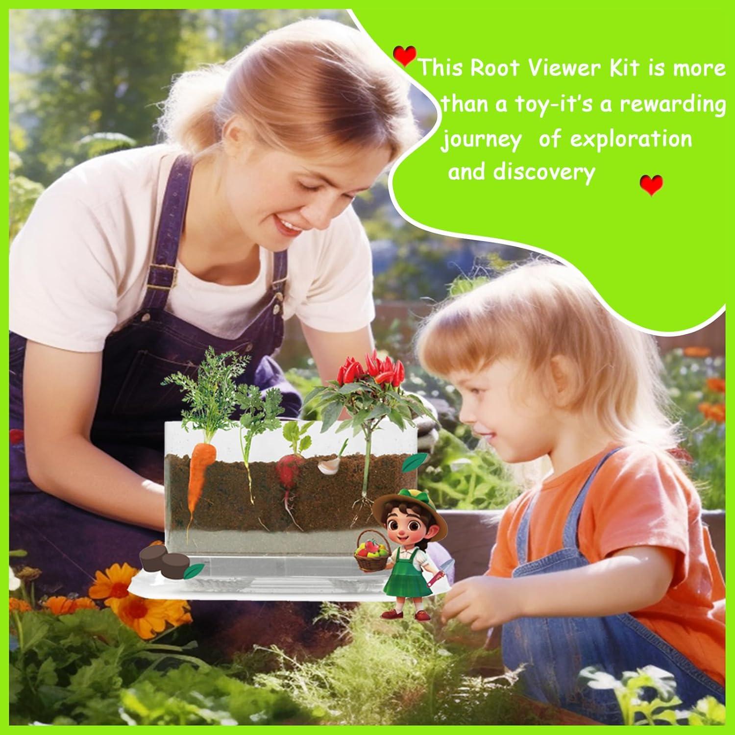 Kit de Visualización de Raíces Fuzhou - Juguete STEM para Niños