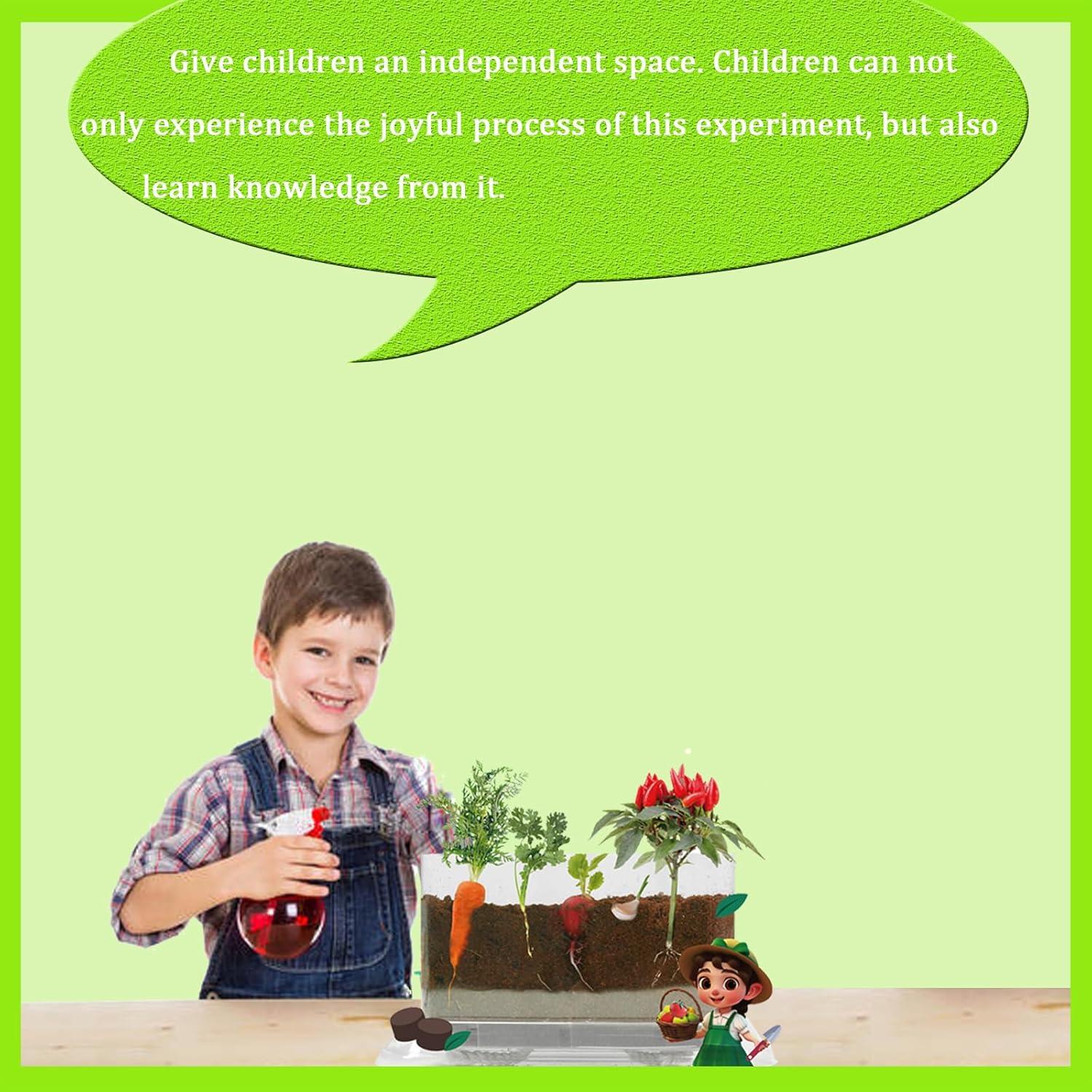 Kit de Visualización de Raíces Fuzhou - Juguete STEM para Niños