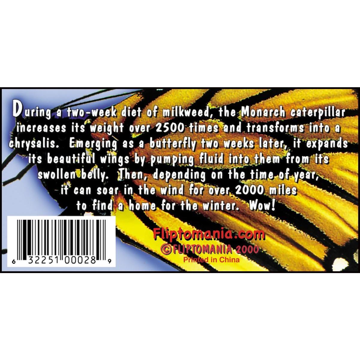 Libro Desplegable Fliptomania Metamorfosis Oruga a Mariposa