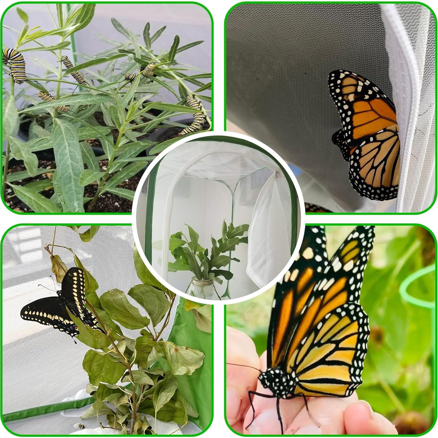 Jaula de Insectos Plegable Khsp5d 60x60x90 cm para Mariposas