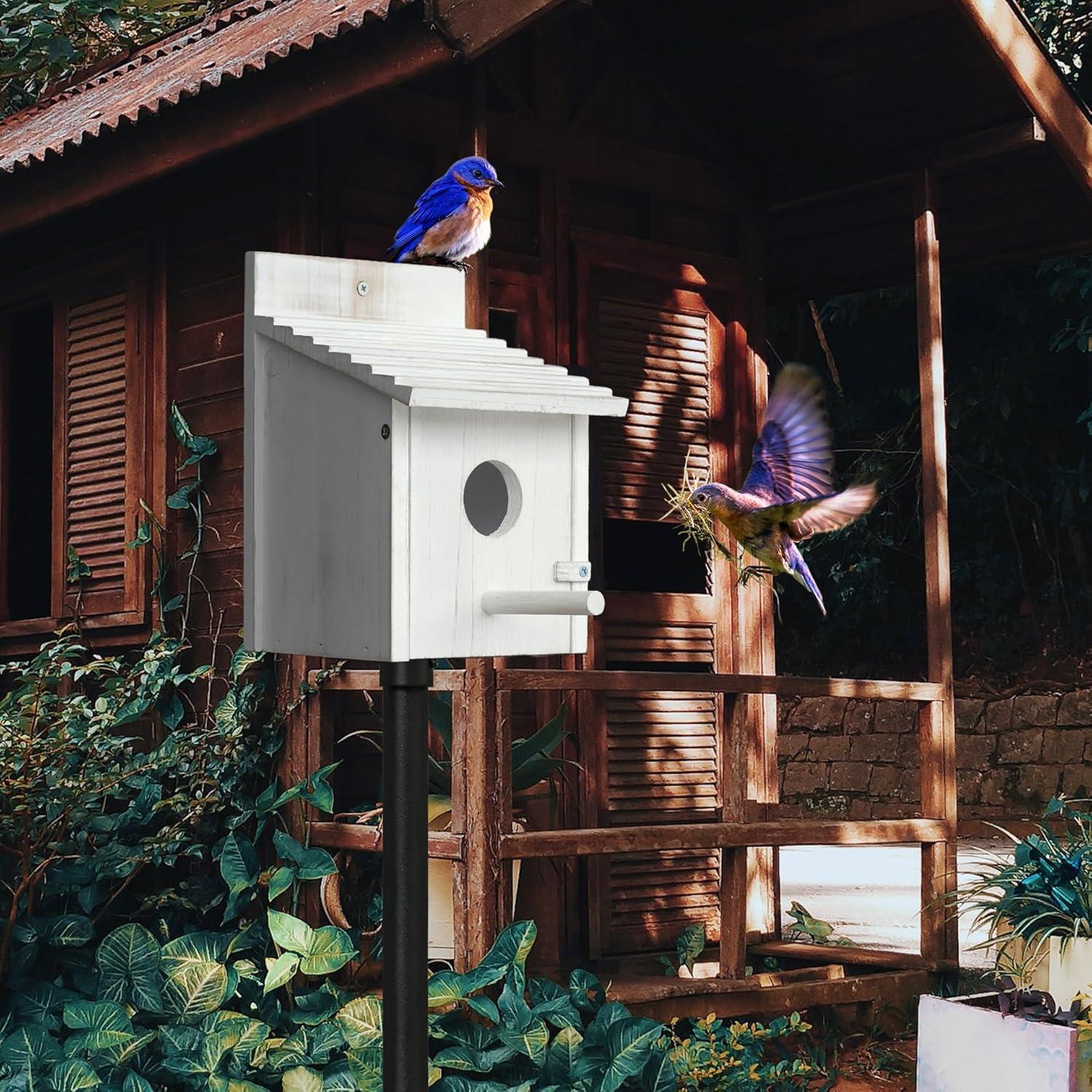 Casa para Aves Colgante CLACKIBUKVYZ de Madera 15x15x21.8cm