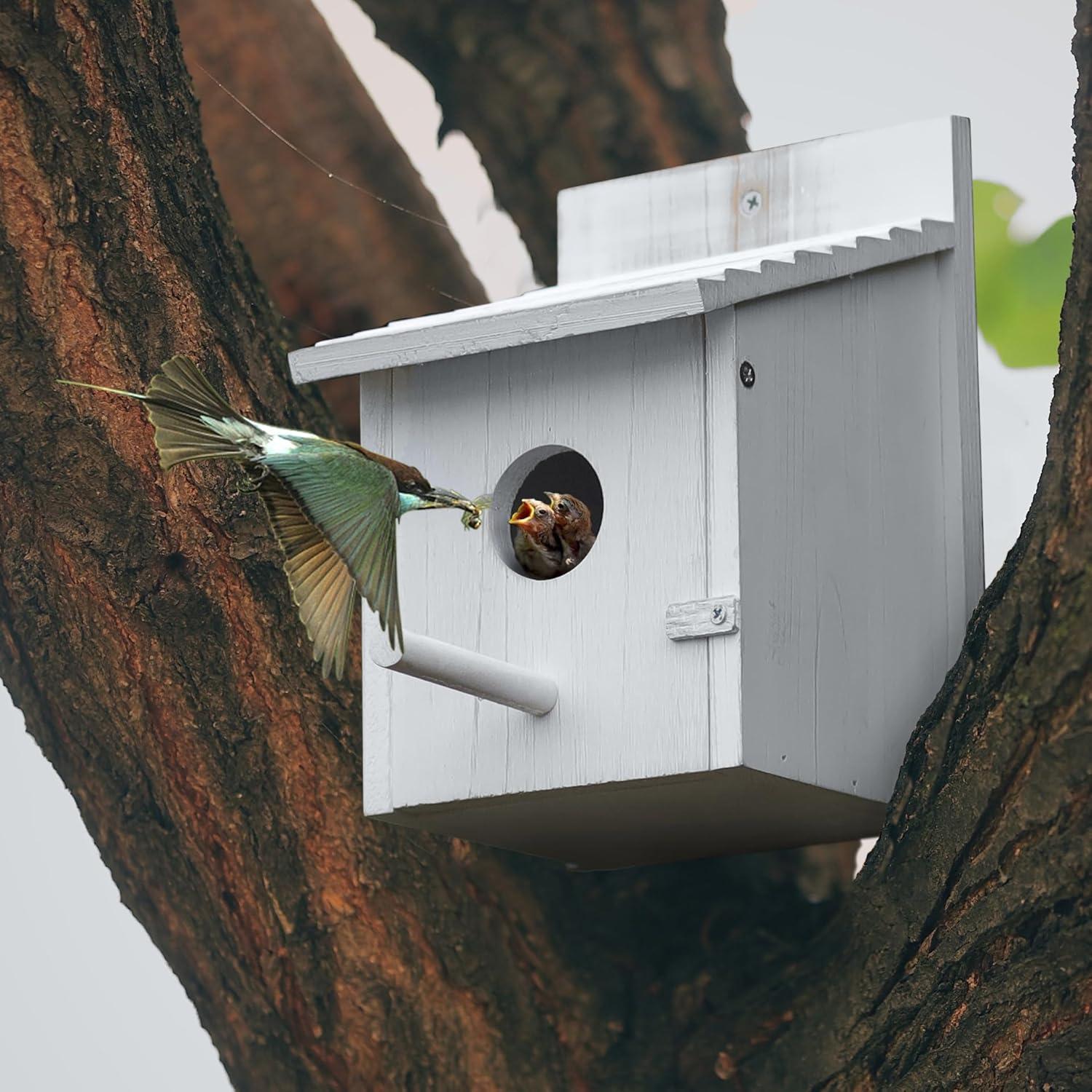 Casa para Aves Colgante CLACKIBUKVYZ de Madera 15x15x21.8cm
