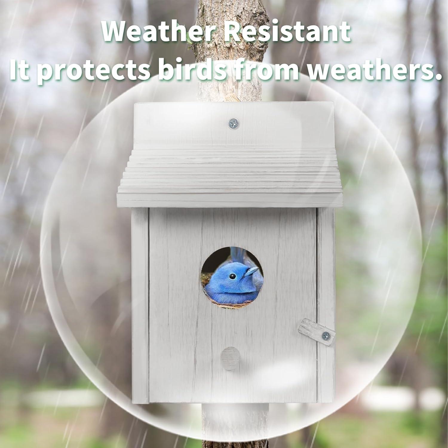 Casa para Aves Colgante CLACKIBUKVYZ de Madera 15x15x21.8cm