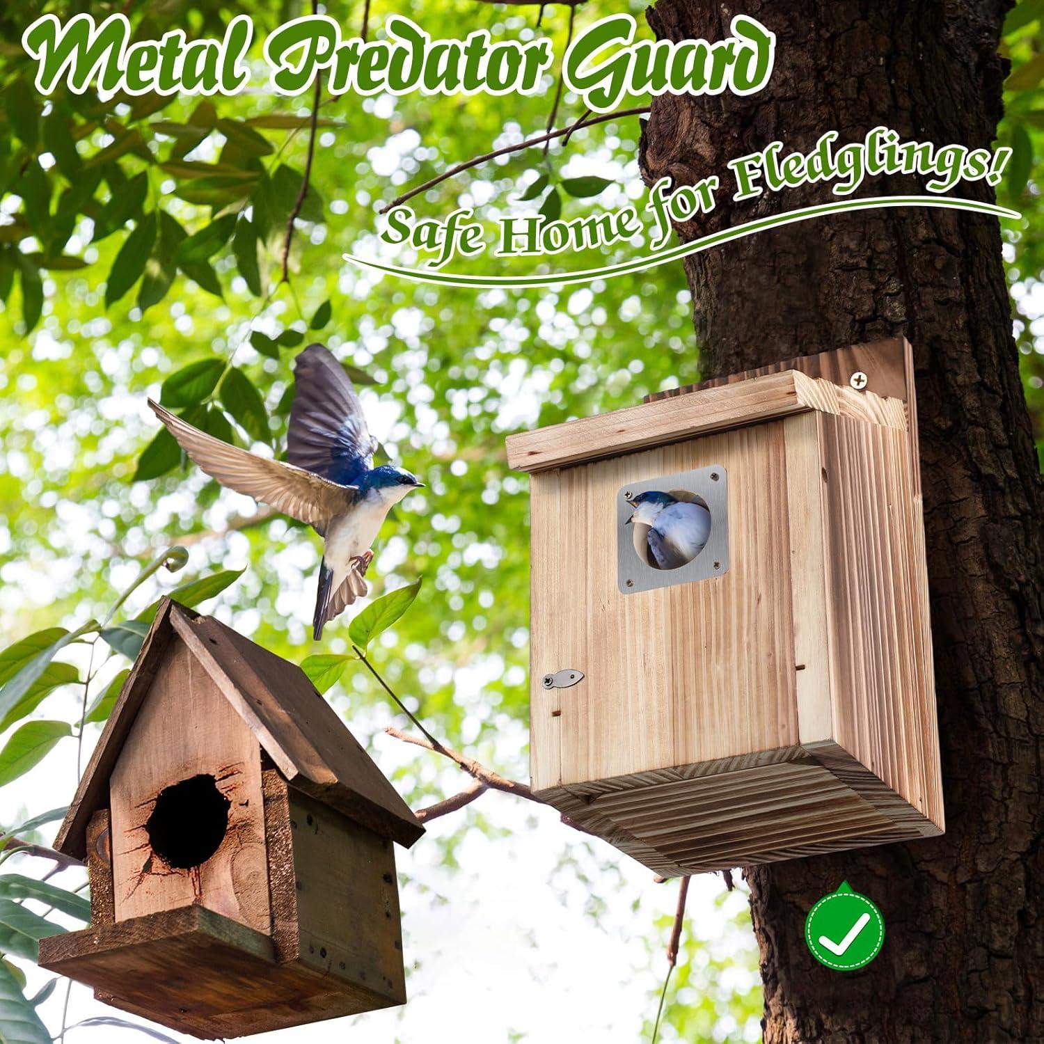 Casa de Aves Dreyoo de Cedro para Bluebird 1.81 kg