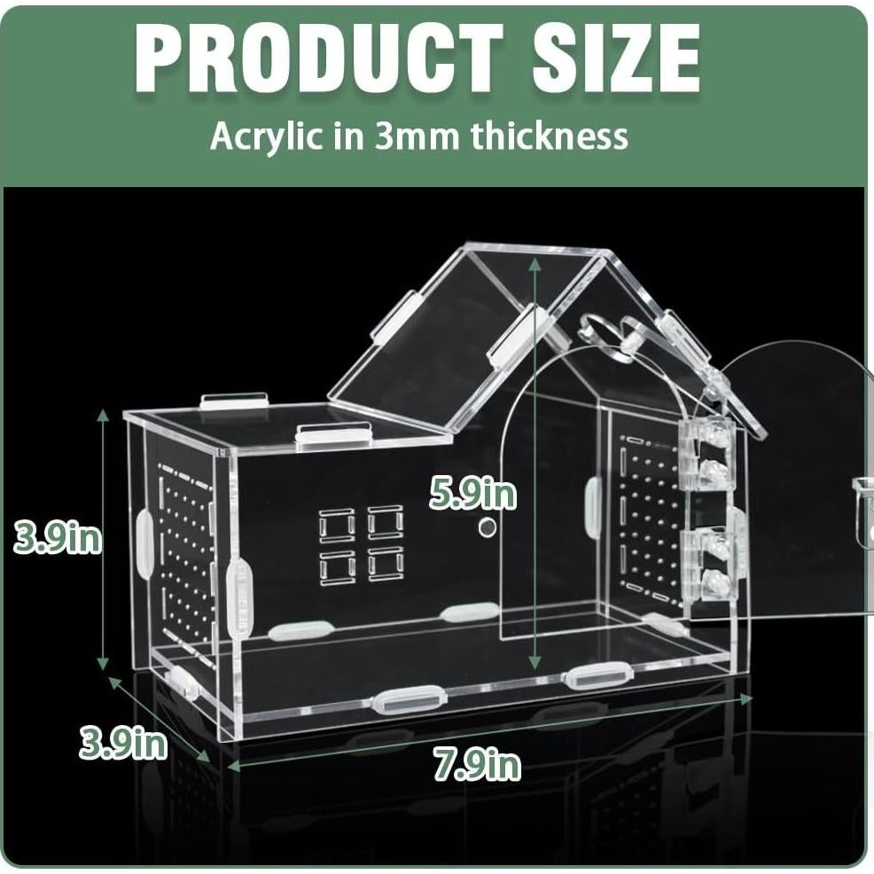 Recinto Acrílico para Araña Saltadora ZUIFIANLE 20x10x15cm