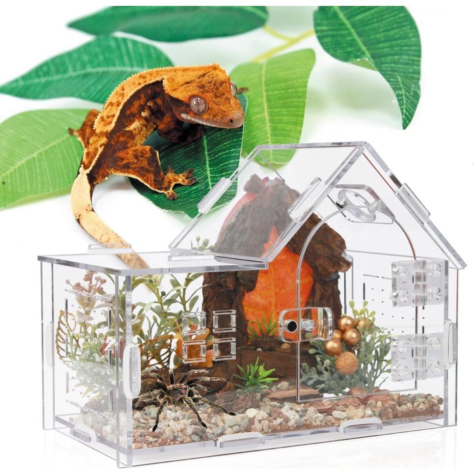 Recinto Acrílico para Araña Saltadora ZUIFIANLE 20x10x15cm