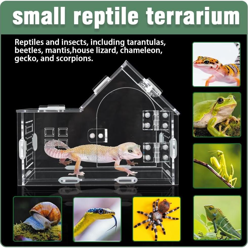 Recinto Acrílico para Araña Saltadora ZUIFIANLE 20x10x15cm