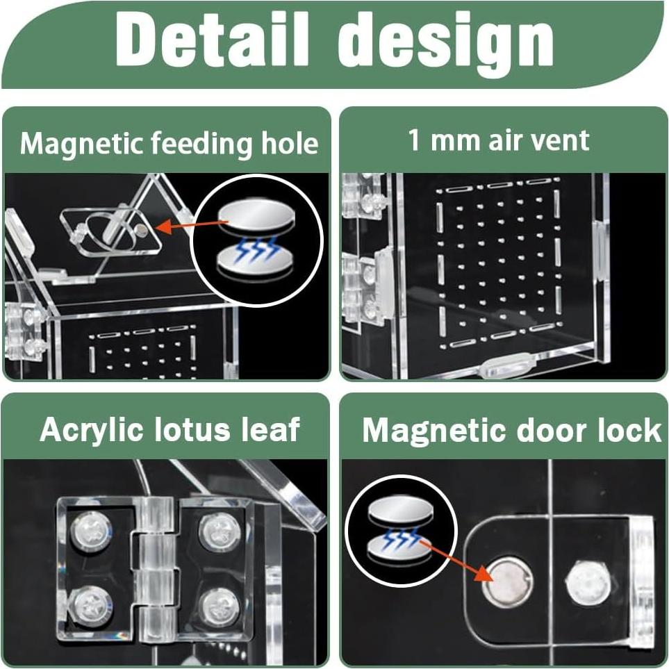 Recinto Acrílico para Araña Saltadora ZUIFIANLE 20x10x15cm