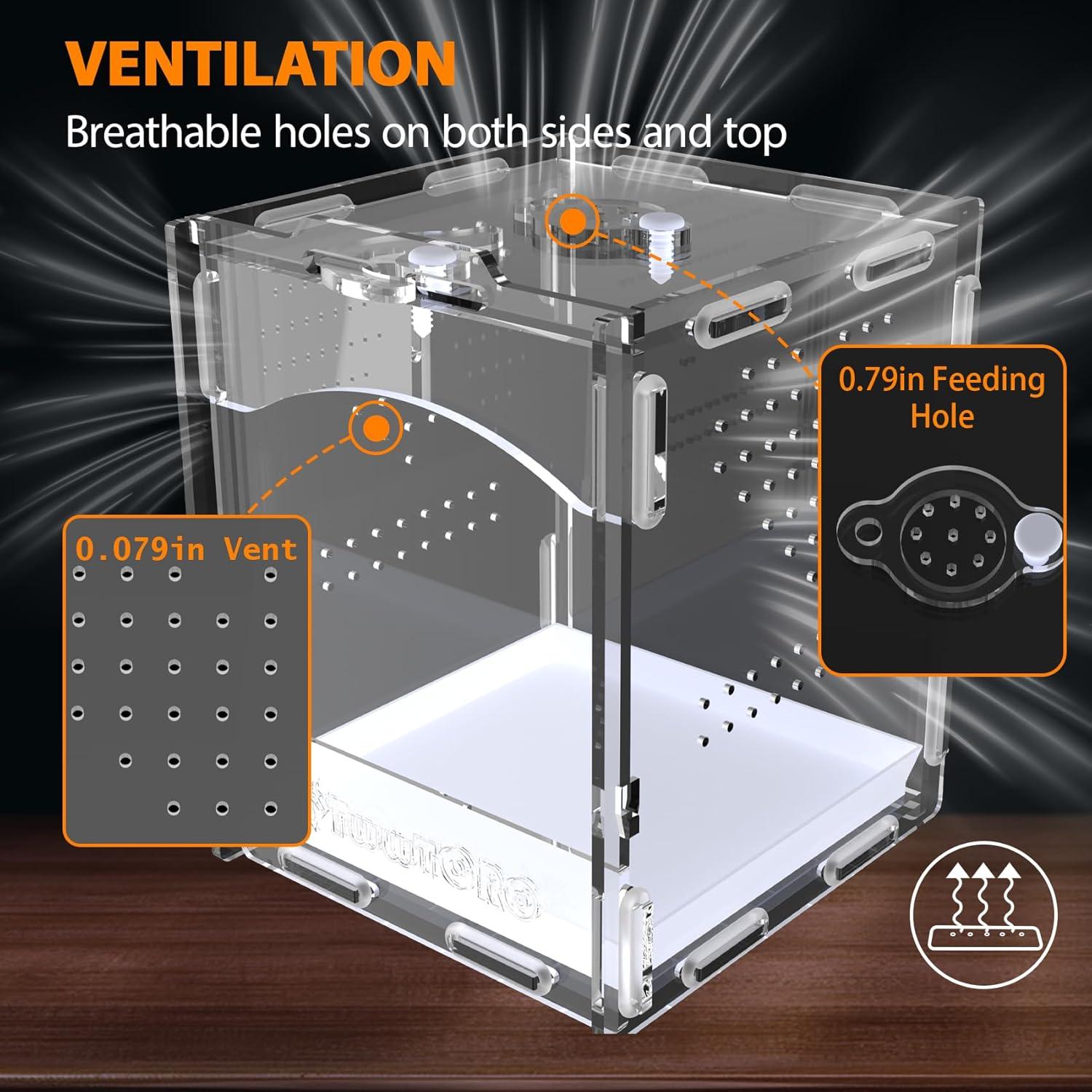 Terrario Acrílico TwwTCRO para Araña Saltadora 11.3x12.4x14.5 cm