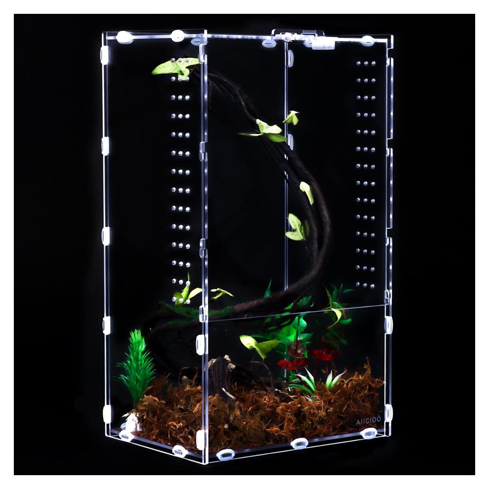 Terrario Acrílico AIICIOO 20x15x35 cm para Arañas y Reptiles