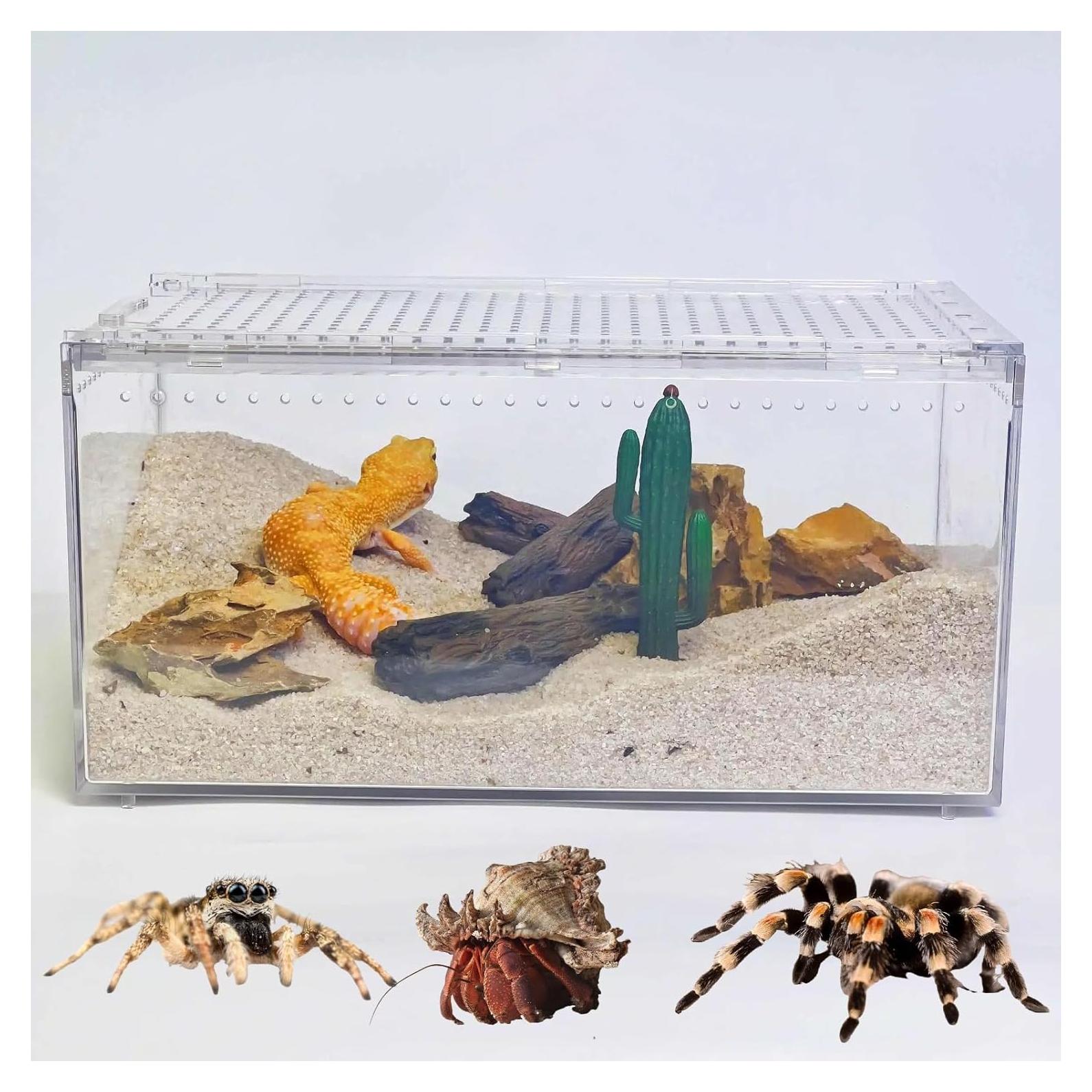 Terrario de Reptiles STELPAW 30.5x20.3x15.2cm para Gecko y Araña