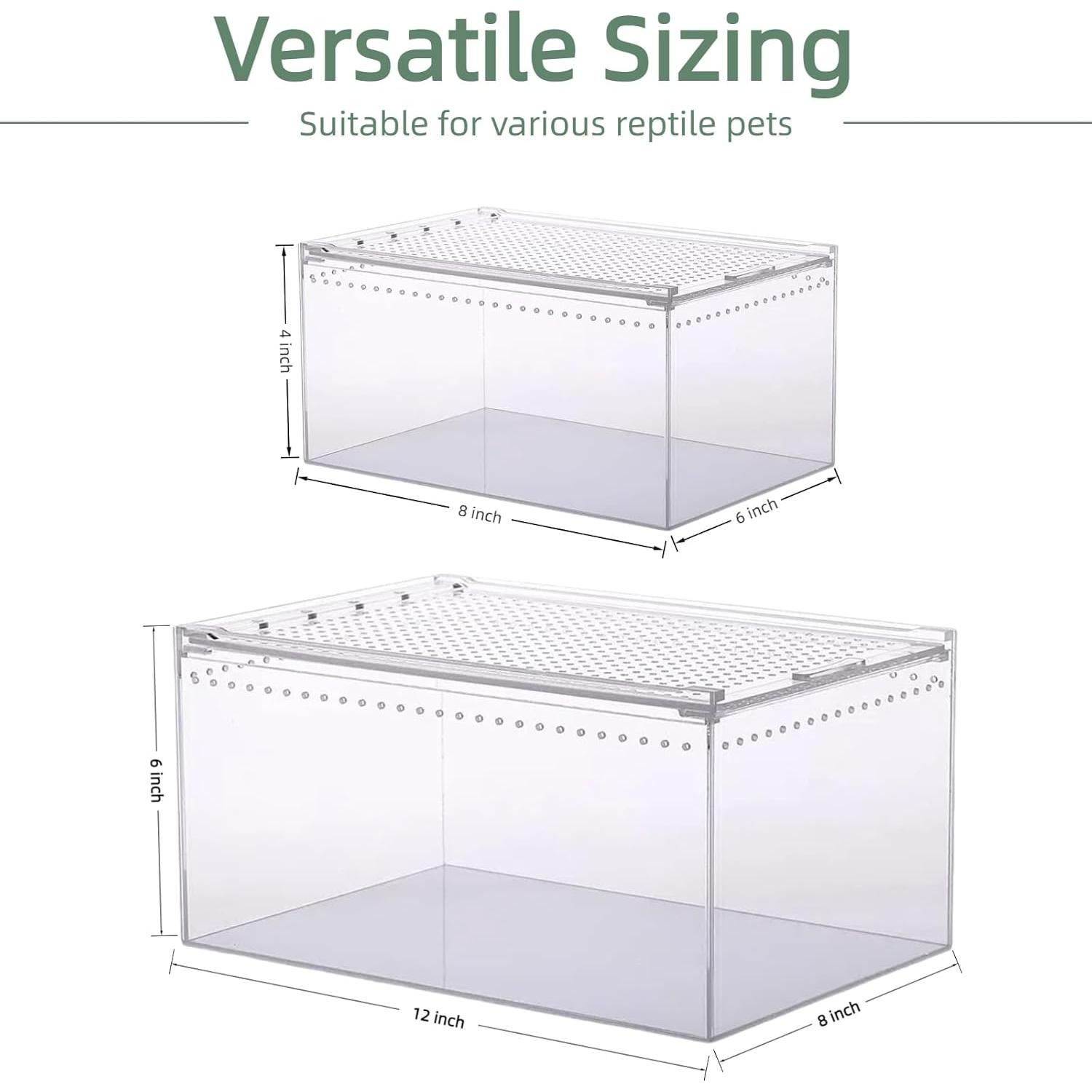 Terrario de Reptiles STELPAW 30.5x20.3x15.2cm para Gecko y Araña