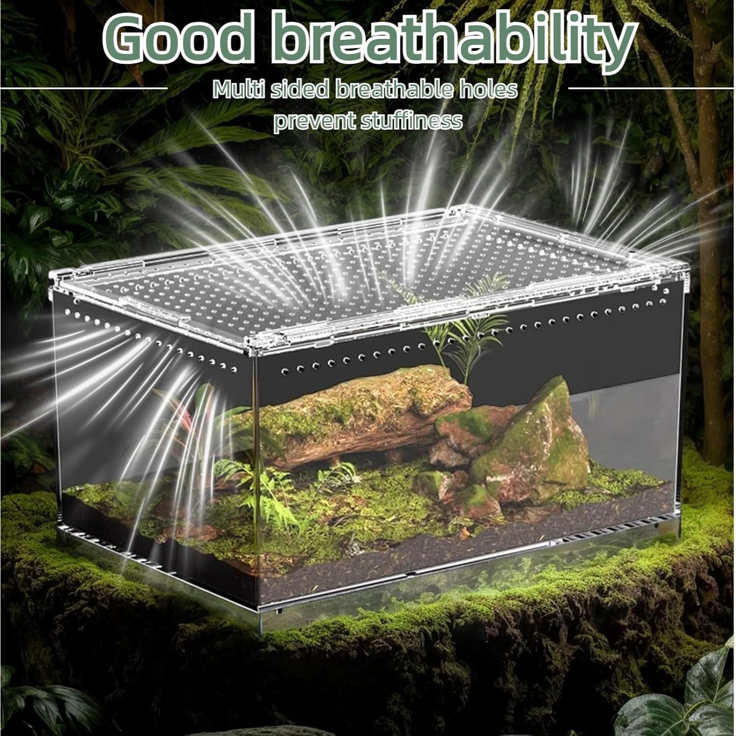 Terrario de Reptiles STELPAW 30.5x20.3x15.2cm para Gecko y Araña