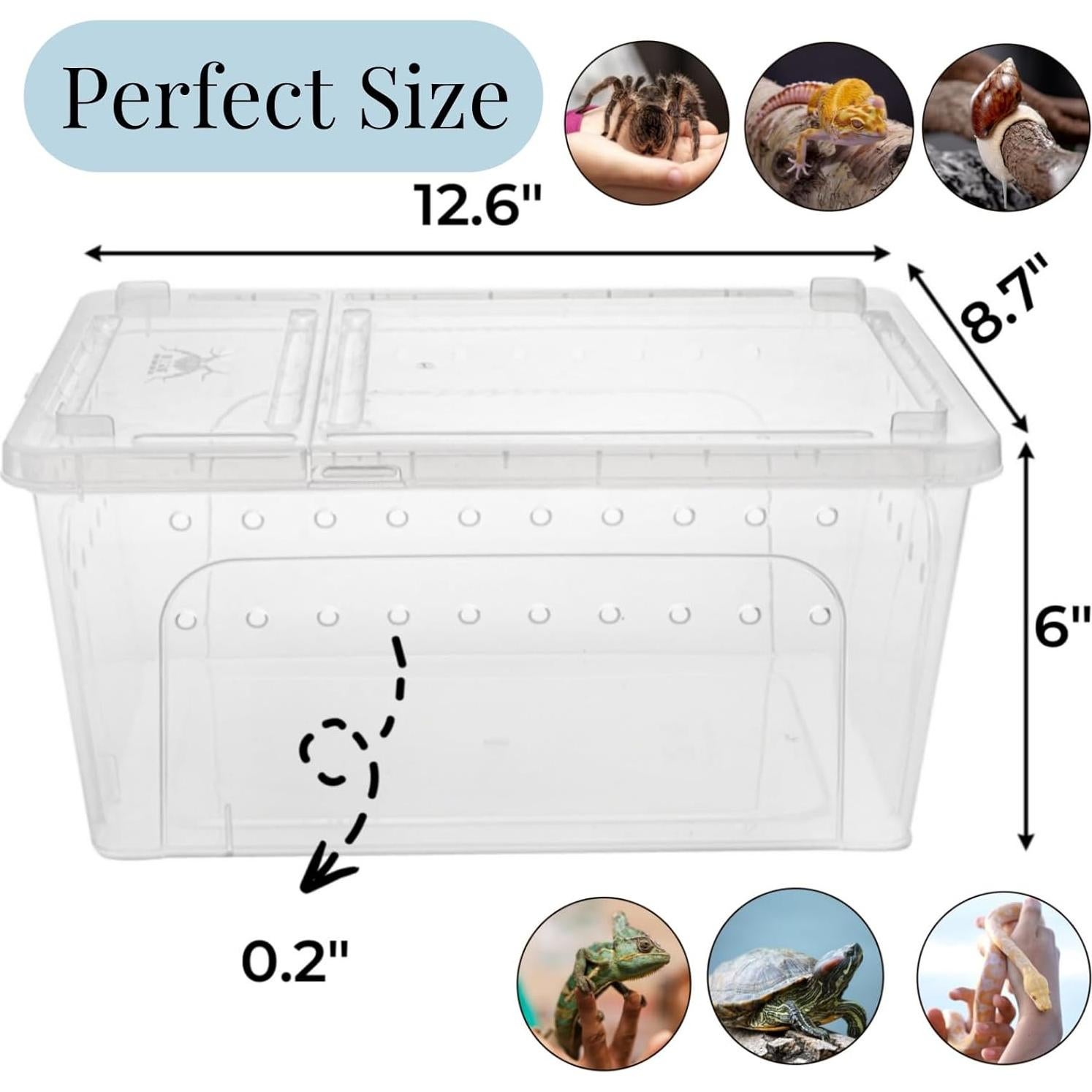 Paquete de 2 cajas de alimentación para reptiles Tlence 32x22x15 cm