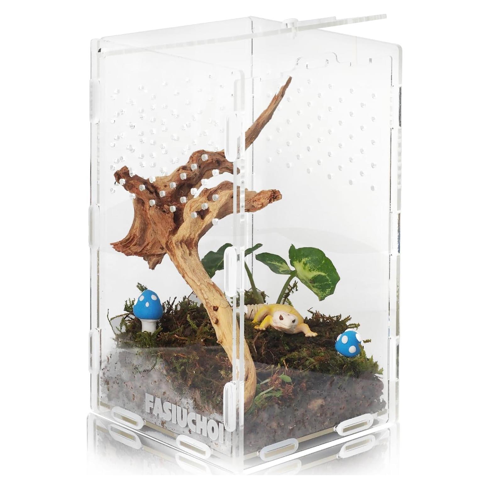 Terrario Acrílico Pequeño FASIUCHOI 11.9x11.9x19.8 cm para Reptiles