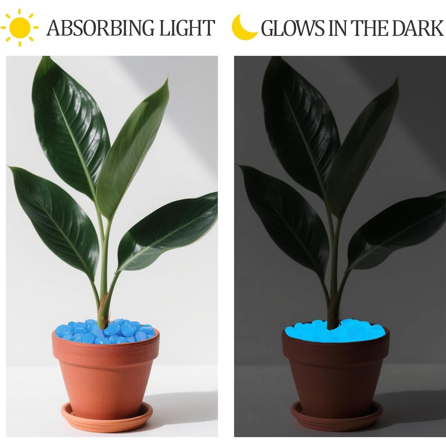 Rocas Brillantes en la Oscuridad 1.6kg 25-27mm Kaiyuan Dynasty