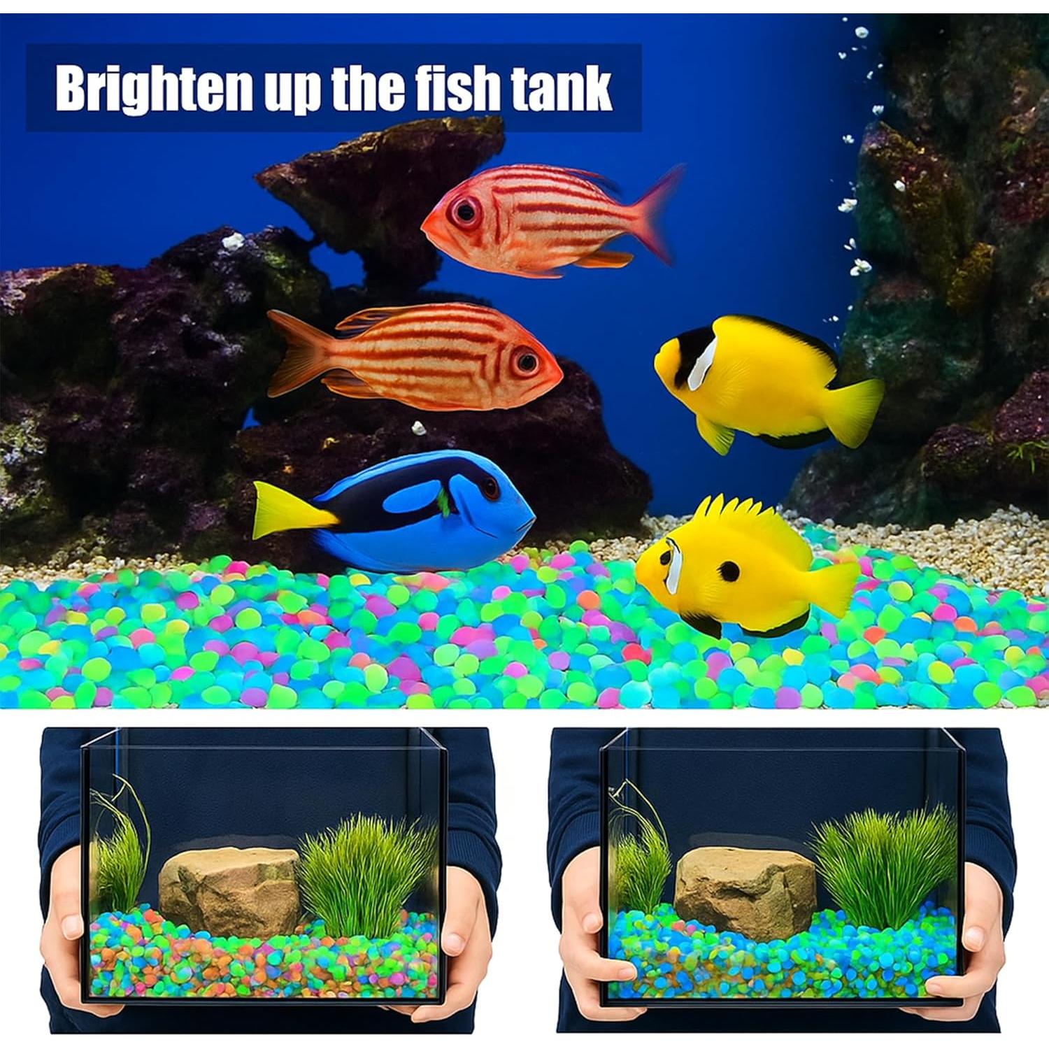 12000 Rocas Coloridas que Brillan en la Oscuridad TREEHAC