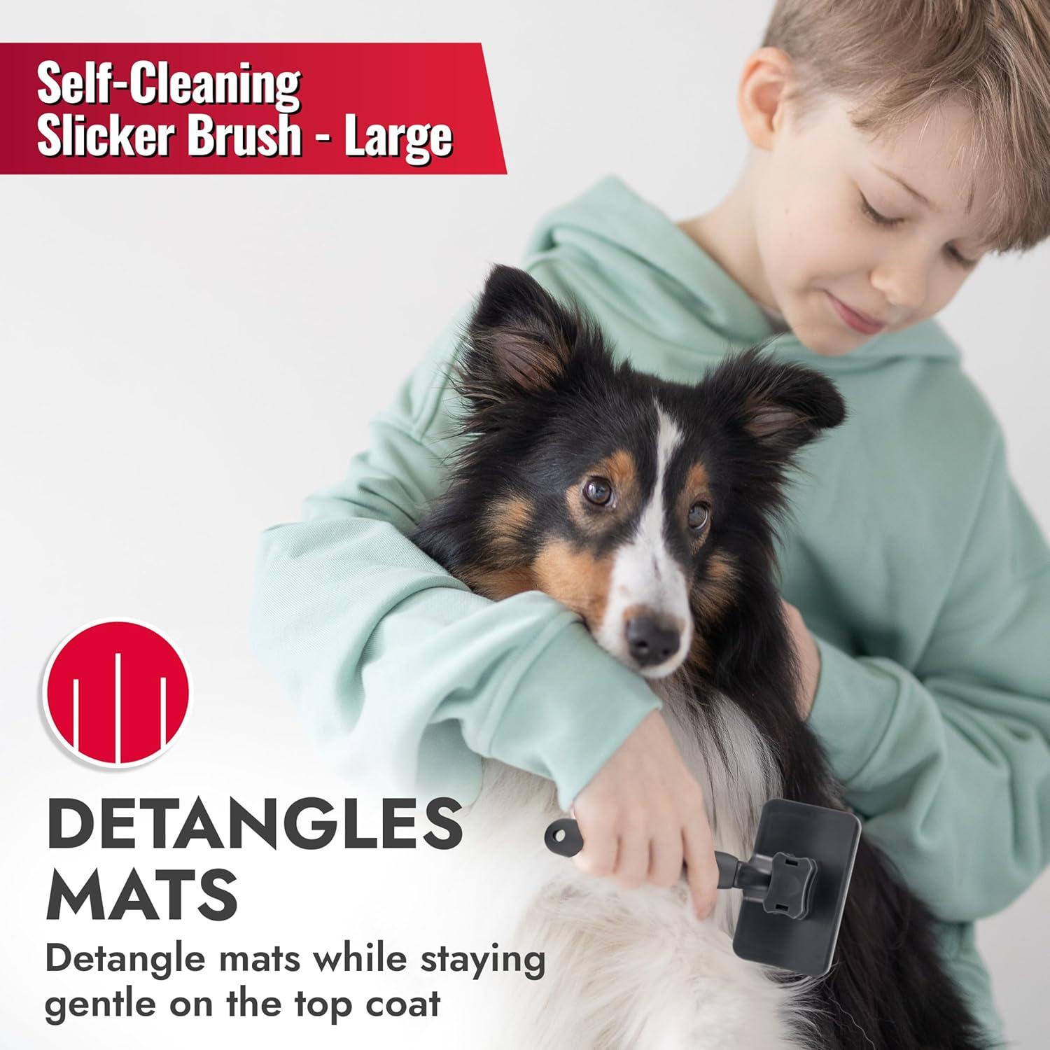 KONG Cepillo Slicker Grande Autolimpiante para Perros Medianos a Grandes