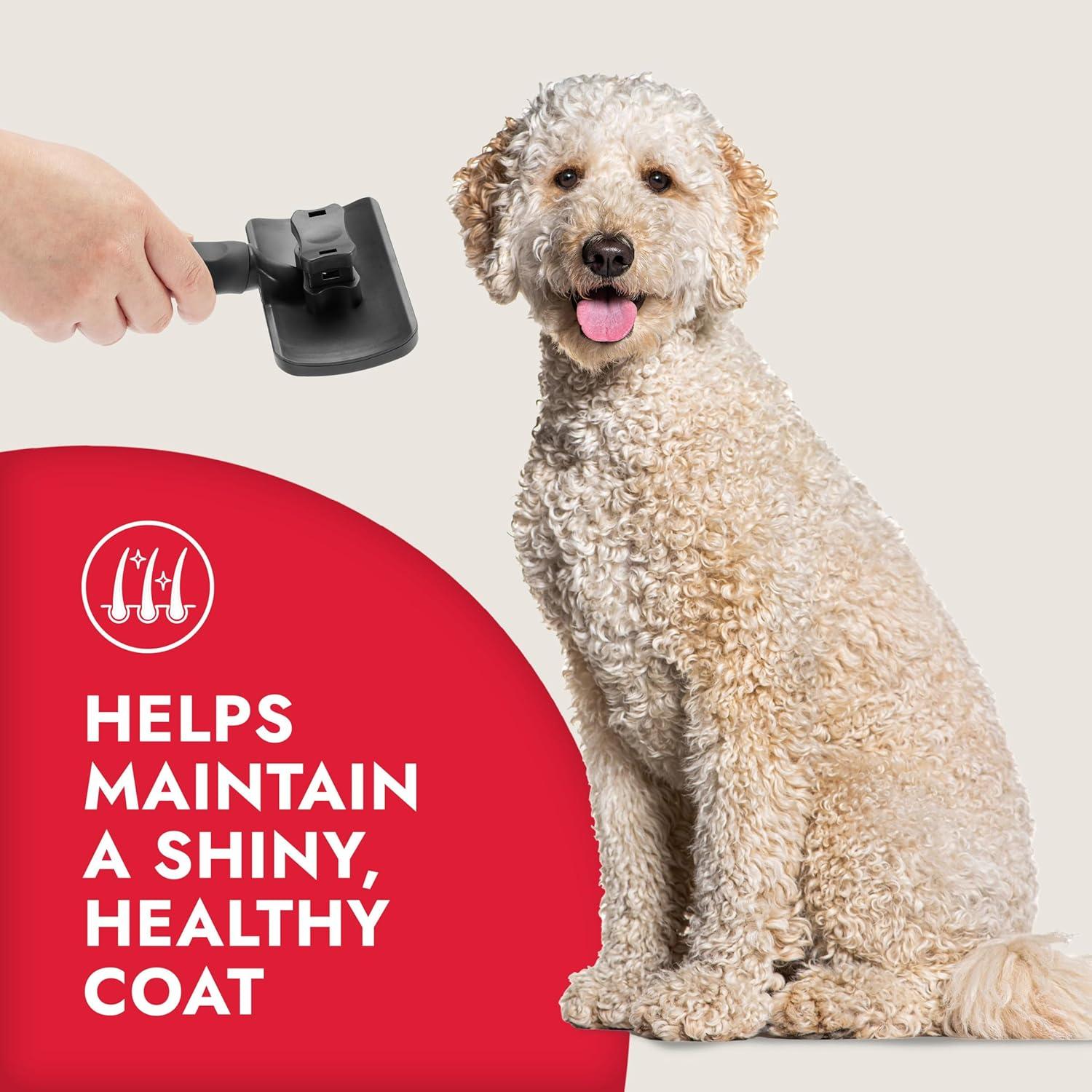 KONG Cepillo Slicker Grande Autolimpiante para Perros Medianos a Grandes