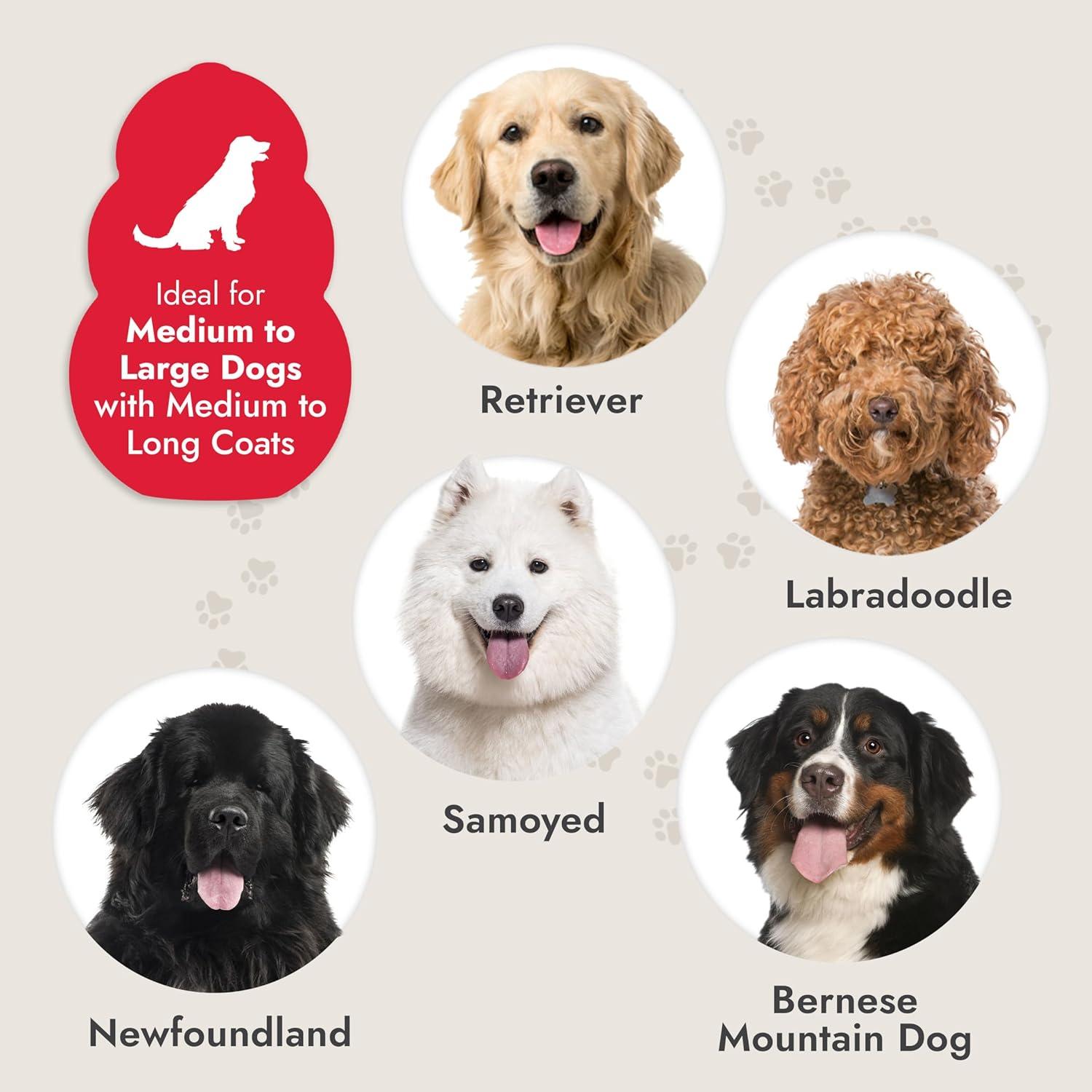 KONG Cepillo Slicker Grande Autolimpiante para Perros Medianos a Grandes