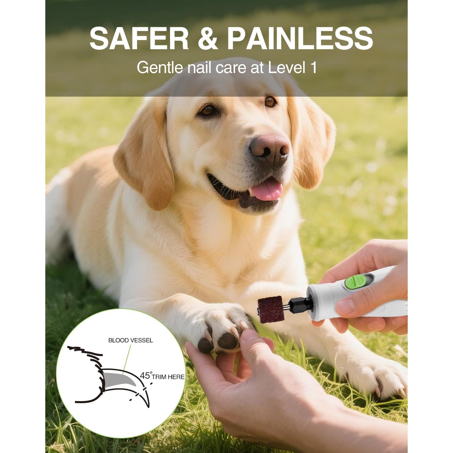 WORKPRO 3.6V Cordless Rotary Tool Kit, 70 Accessories, 6 Variable Speeds, Type-C Rechargeable, Mini Power Rotary Tool for Sanding, Polishing, Engraving and Pet Nail Grooming