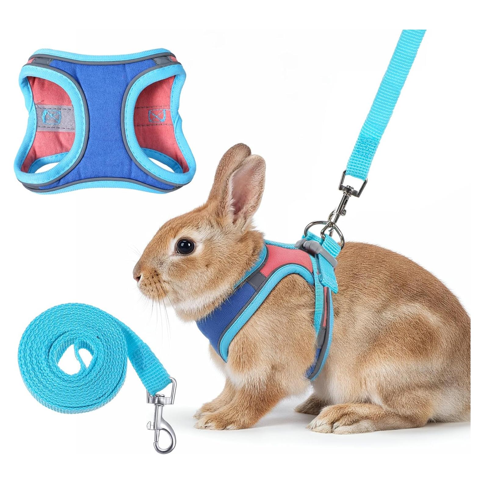 Arnés y Correa Ajustables Aiyorse para Conejos M Azul/Rosa
