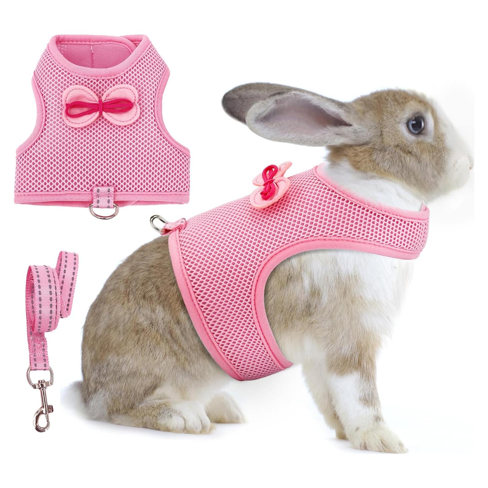Arnés y Correa para Conejos AIITLE Rosa S - Transpirable y Ajustable