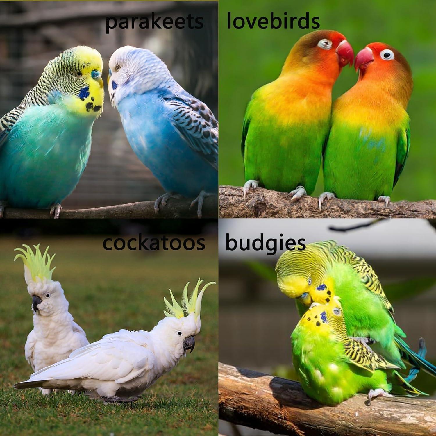 Escalera de Aves Acero Inoxidable 2 Pack 9 Pasos 40.6 cm