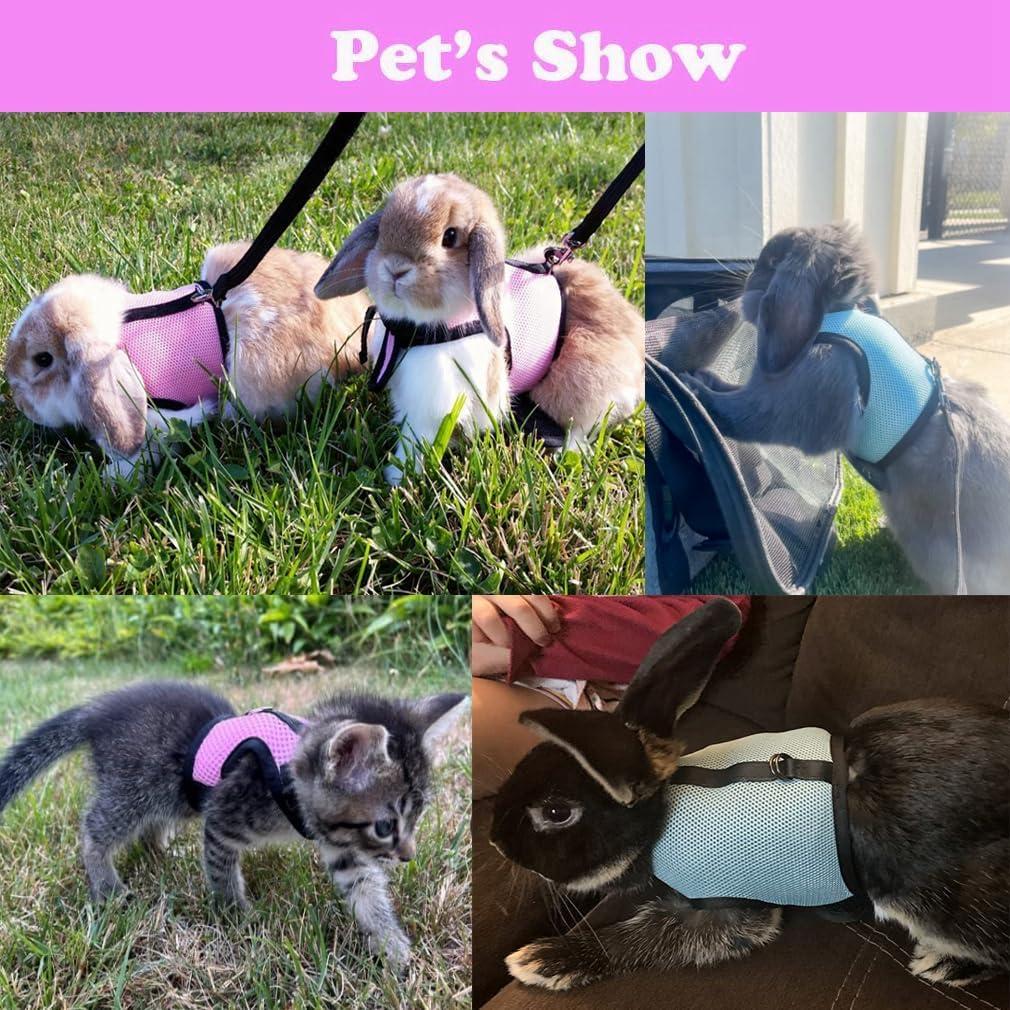 Conjunto Arnés y Correa WeimoMonkey para Hurón y Conejo M