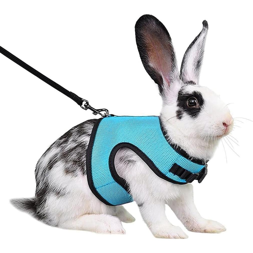 Conjunto Arnés y Correa WeimoMonkey para Hurón y Conejo M