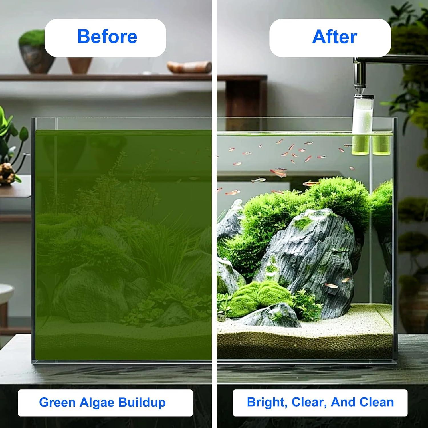 Raspador de Algas para Acuarios Ymiueip 63.5 cm Acero Inoxidable