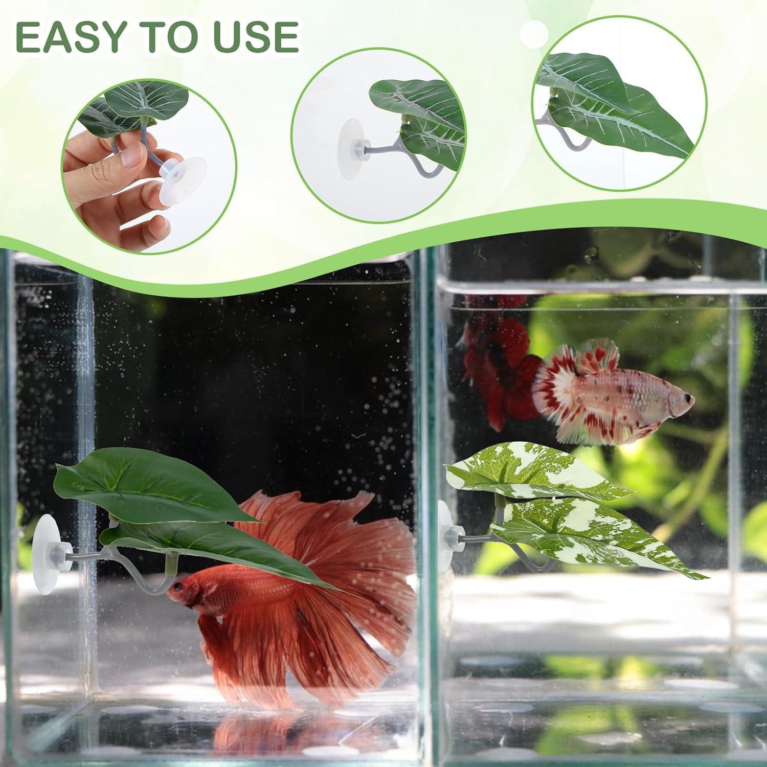 4 Piezas Hamaca de Hoja para Betta Quilax - Decoración Acuario 11x5x5 cm