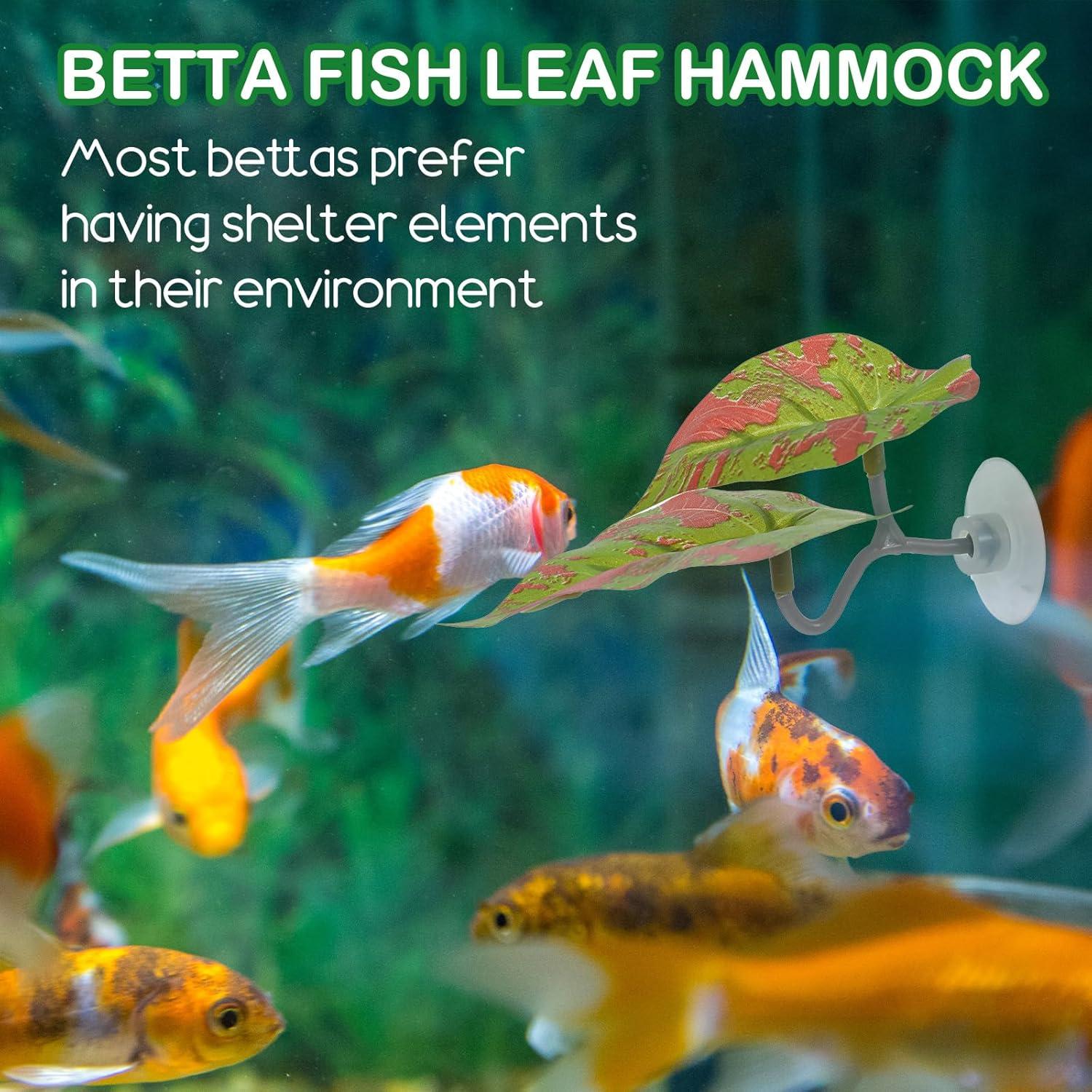 4 Piezas Hamaca de Hoja para Betta Quilax - Decoración Acuario 11x5x5 cm
