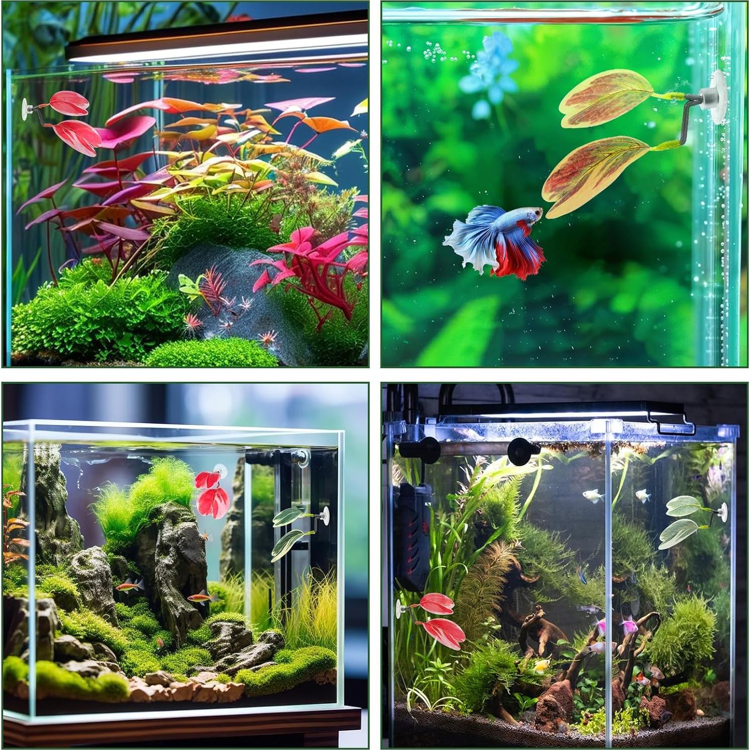 4 Hamacas de Hoja para Betta Yuanchu - Accesorios Acuario