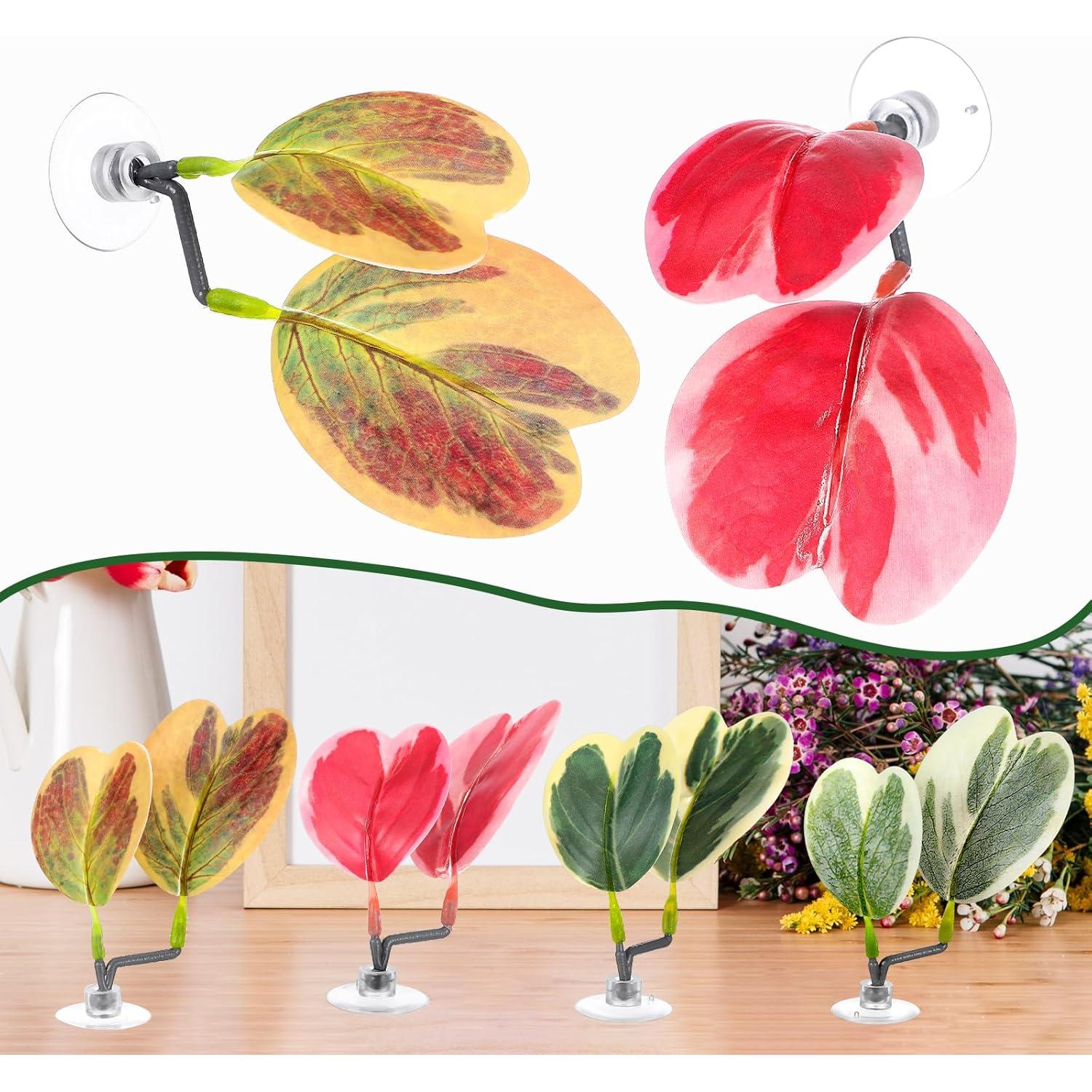 4 Hamacas de Hoja para Betta Yuanchu - Accesorios Acuario