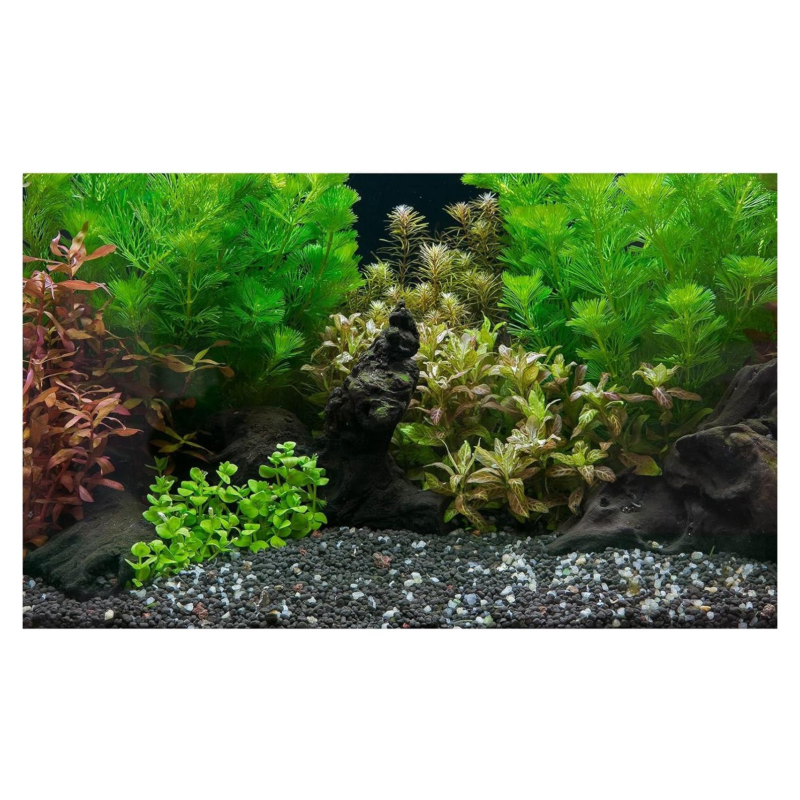 Fondo de Acuario Riivvdise 75x30cm Vinilo Verde Submarino